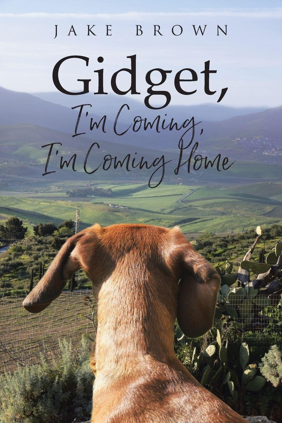 Vorderes Coverbild Gidget, I'm Coming, I'm Coming Home