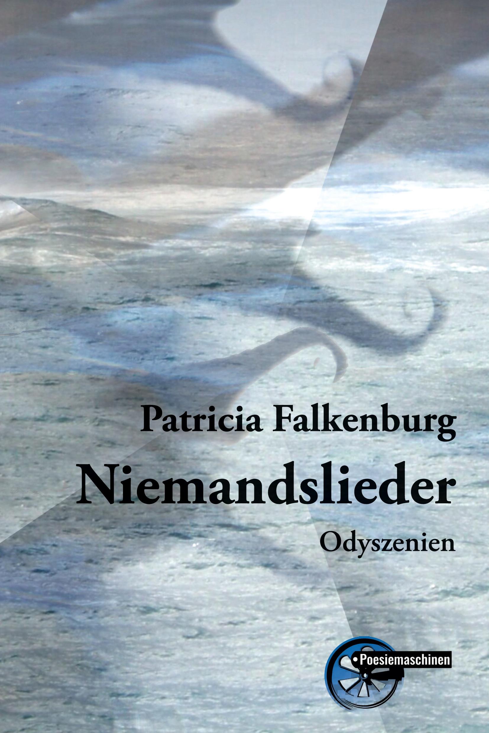 Vorderes Coverbild Niemandslieder