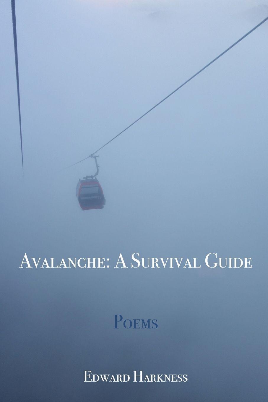 Vorderes Coverbild AVALANCHE