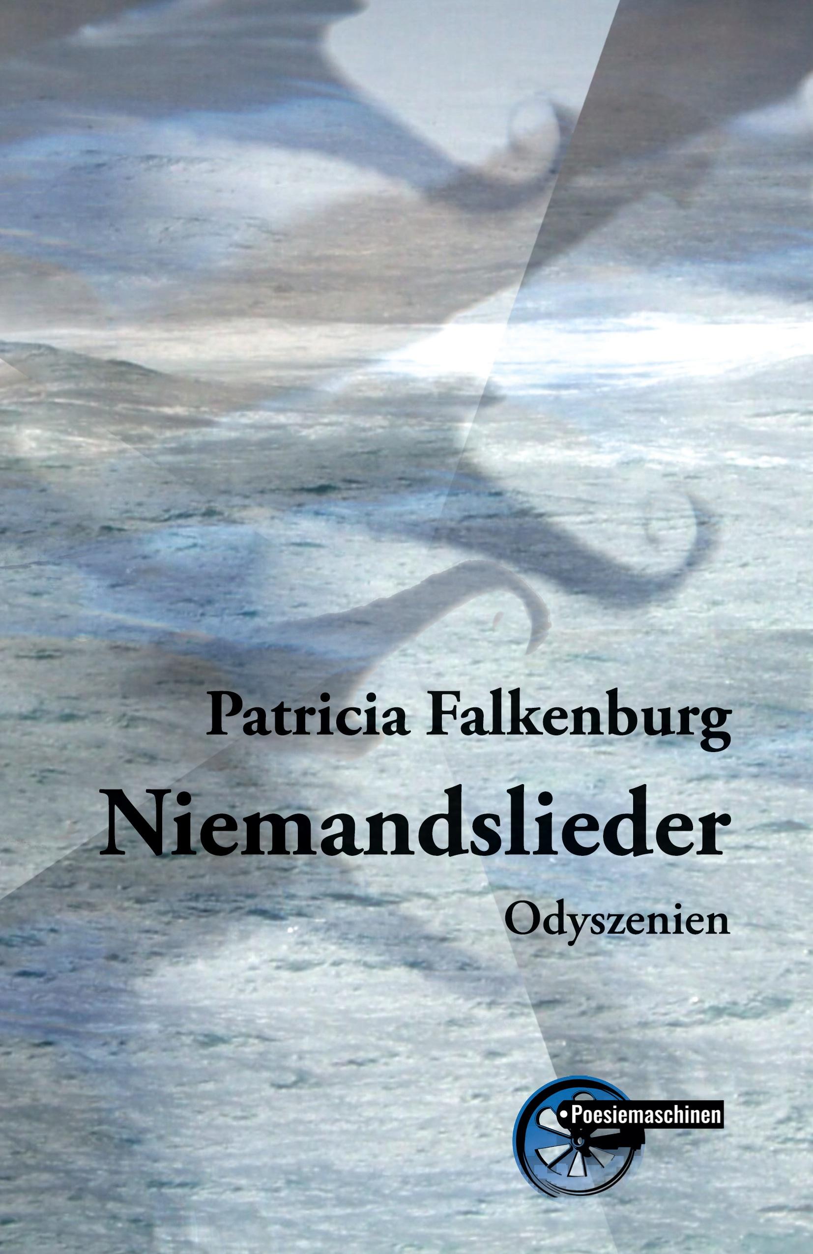 Vorderes Coverbild Niemandslieder