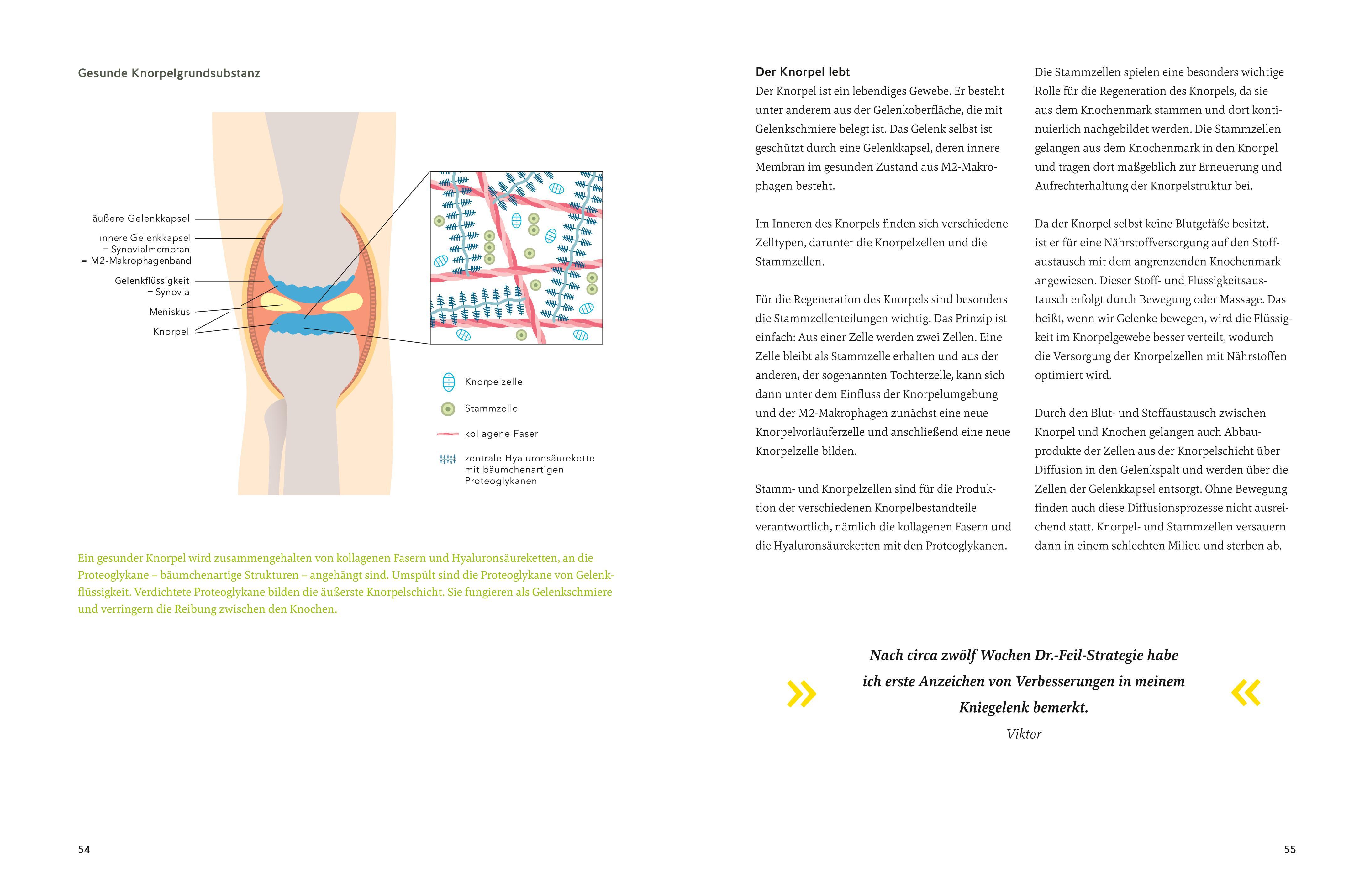 Beispielinhalt (Bild) Arthrose endlich heilen