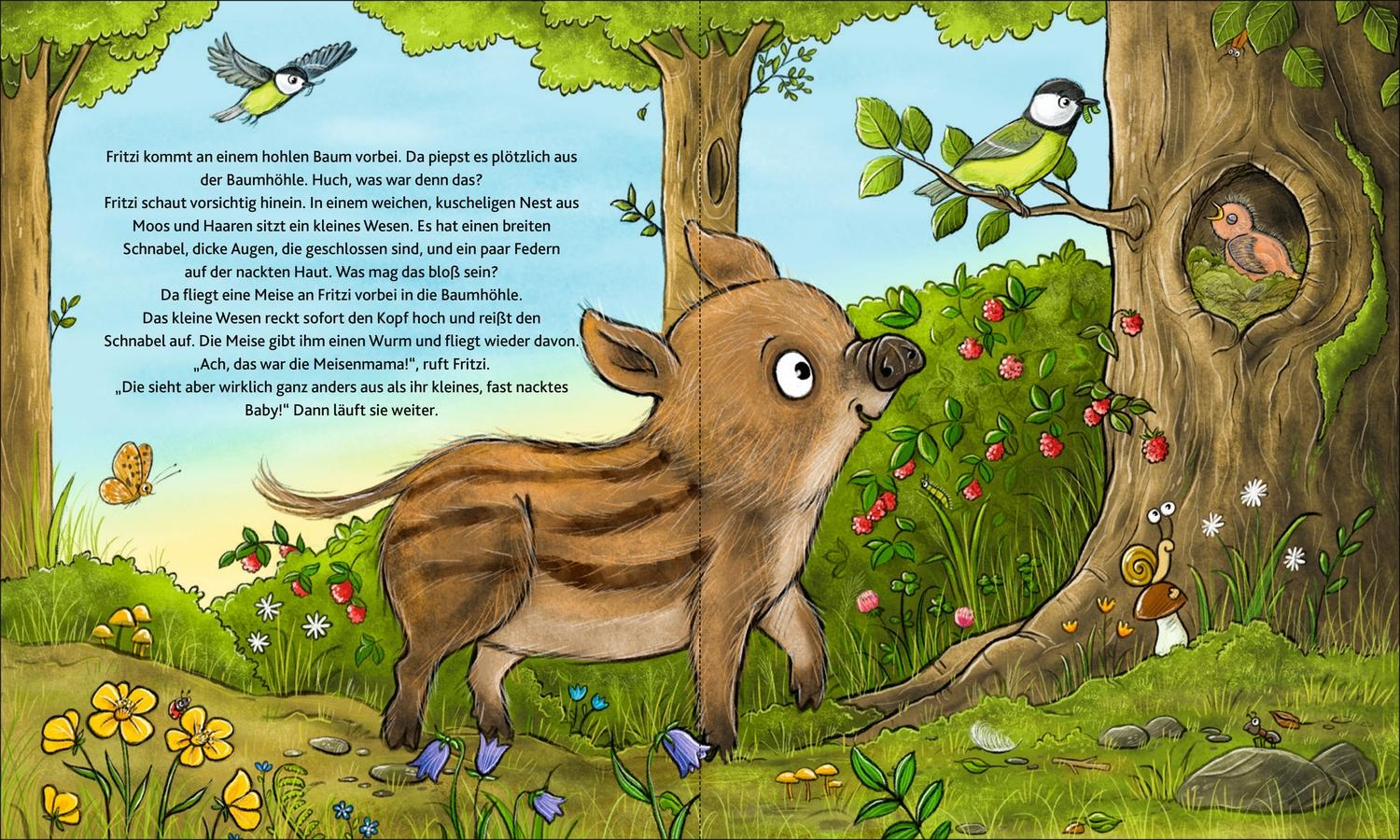 Beispielinhalt (Bild) Wie werden kleine Tiere groß?