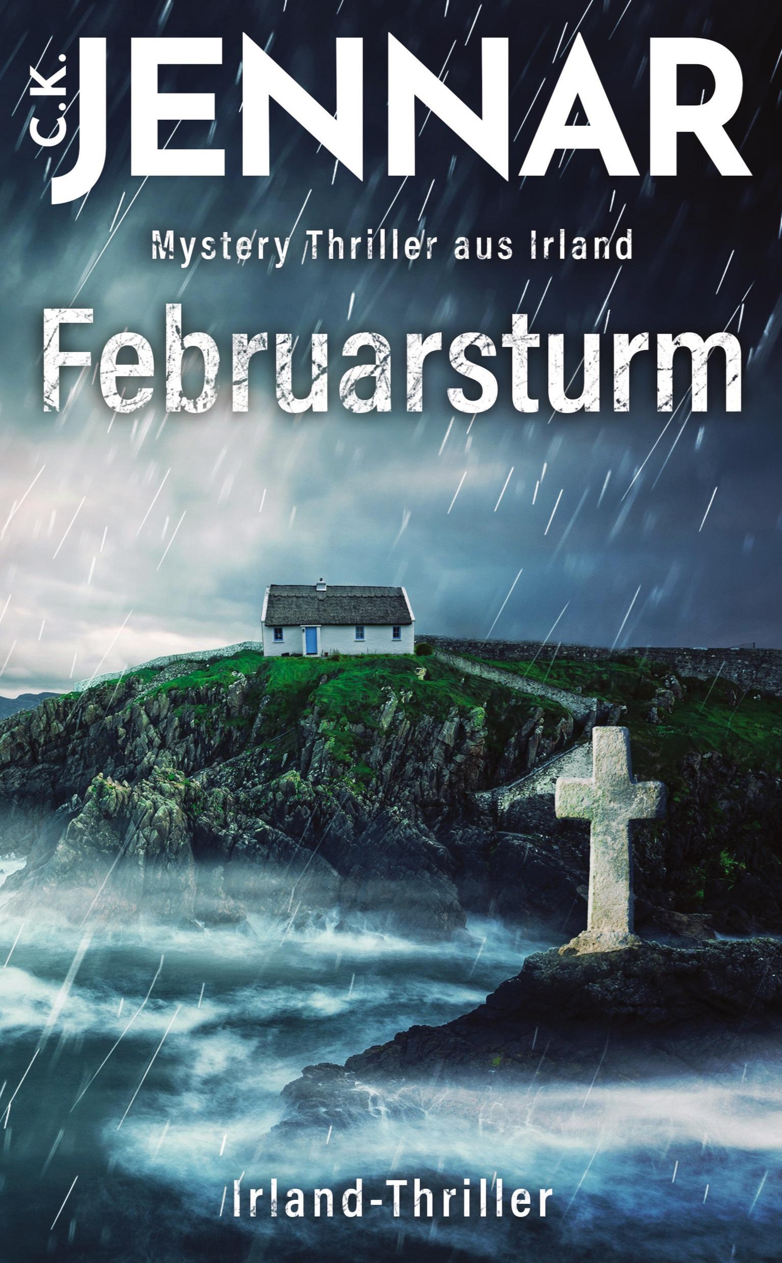 Vorderes Coverbild Februarsturm
