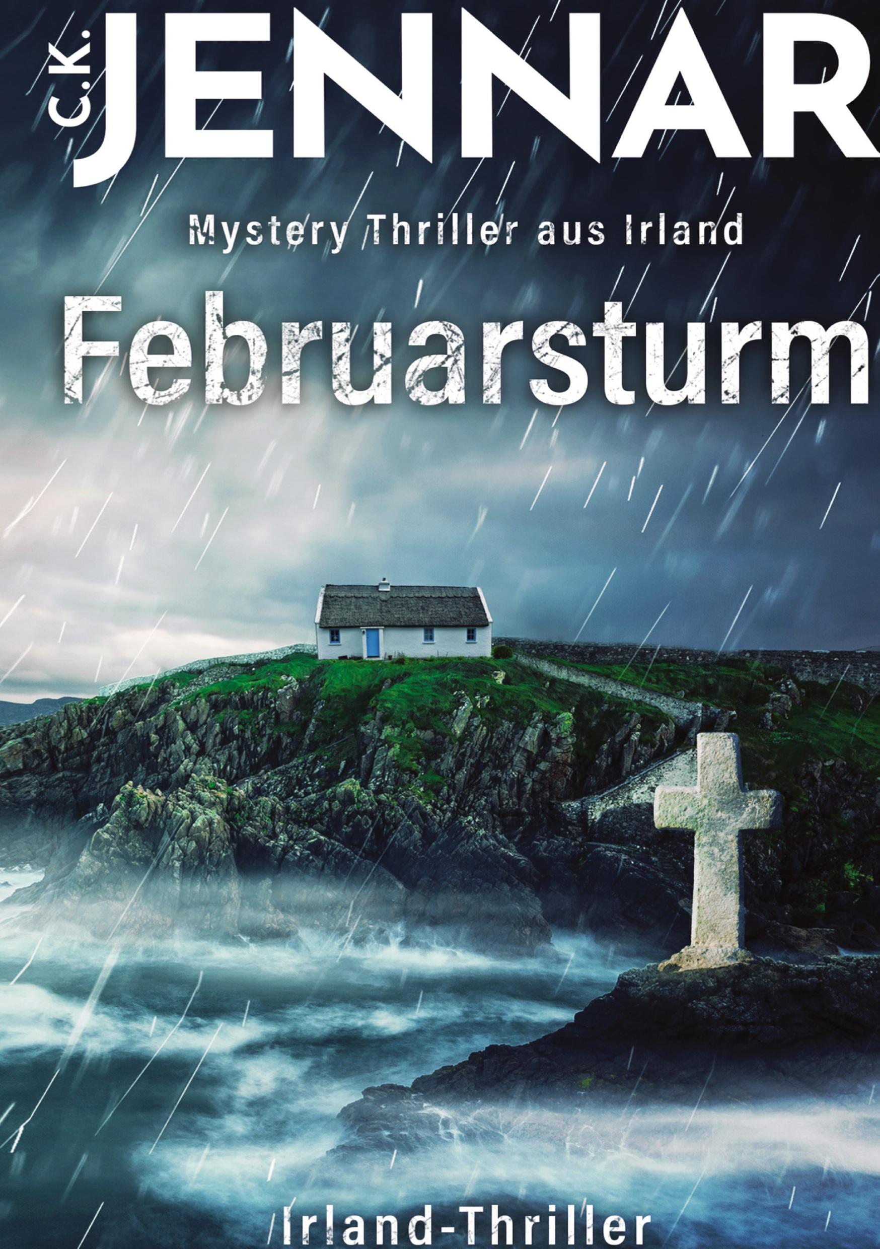 Vorderes Coverbild Februarsturm