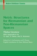 Vorderes Coverbild Metric Structures for Riemannian and Non-Riemannian Spaces
