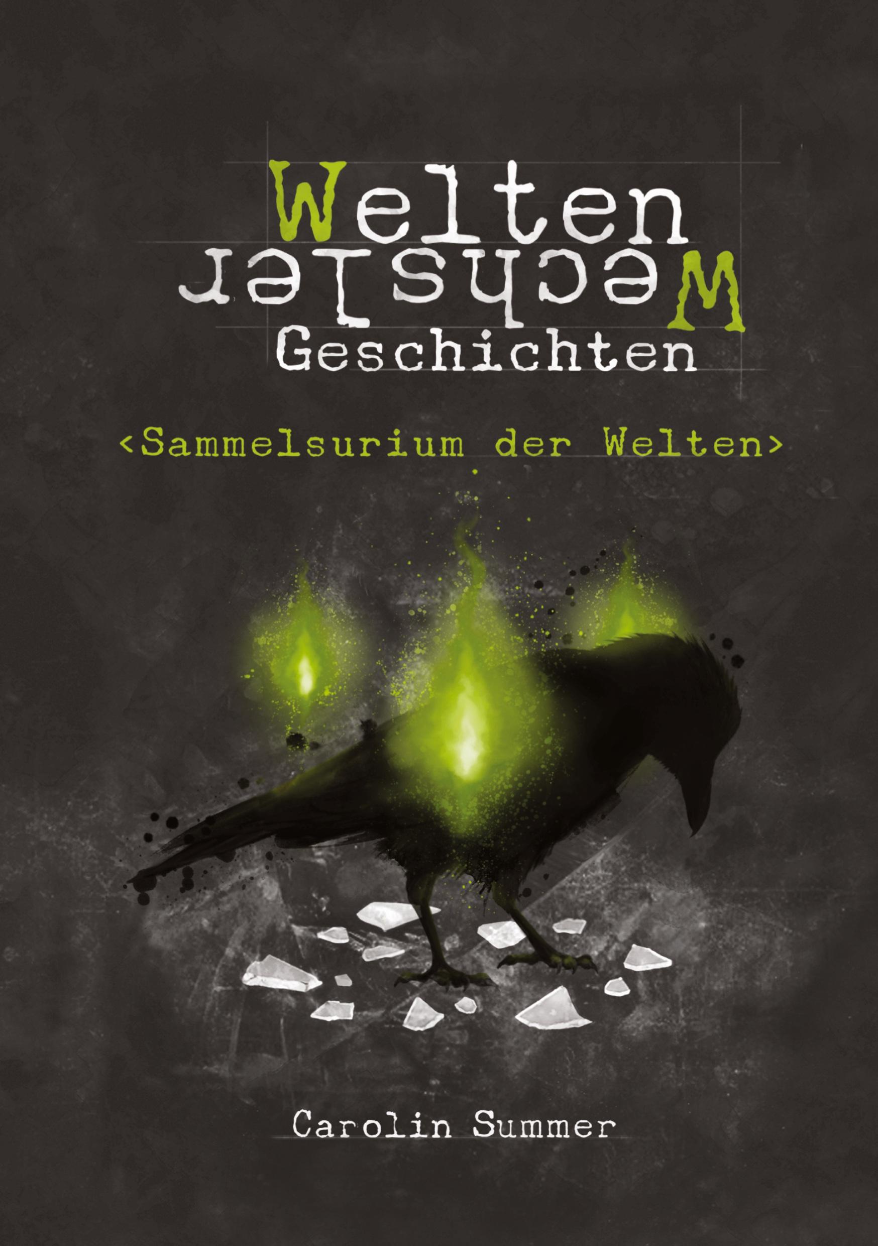 Vorderes Coverbild Sammelsurium der Welten