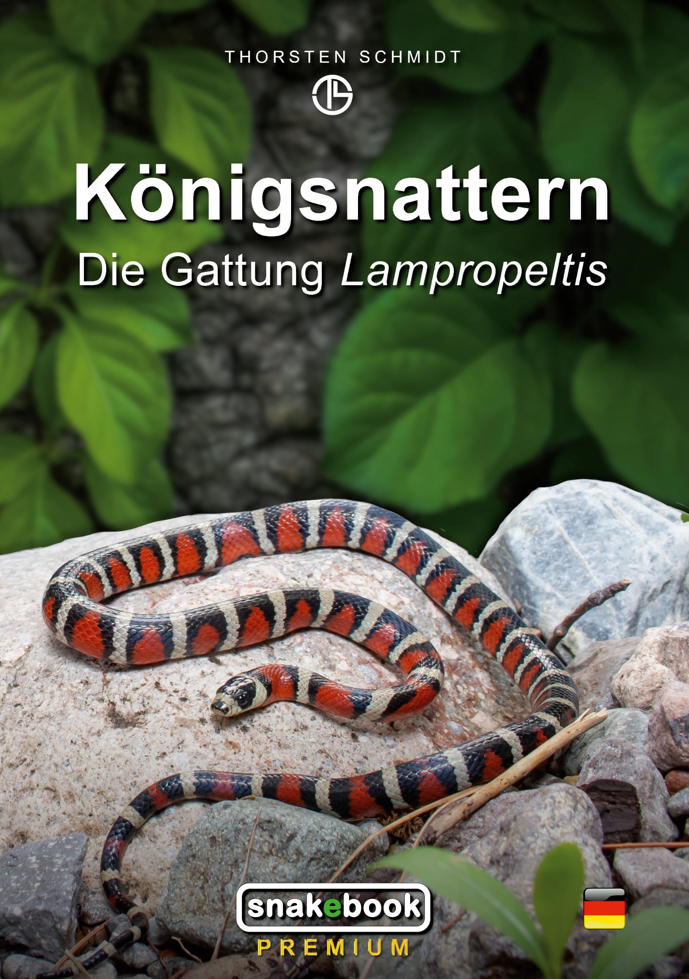 Vorderes Coverbild Königsnattern