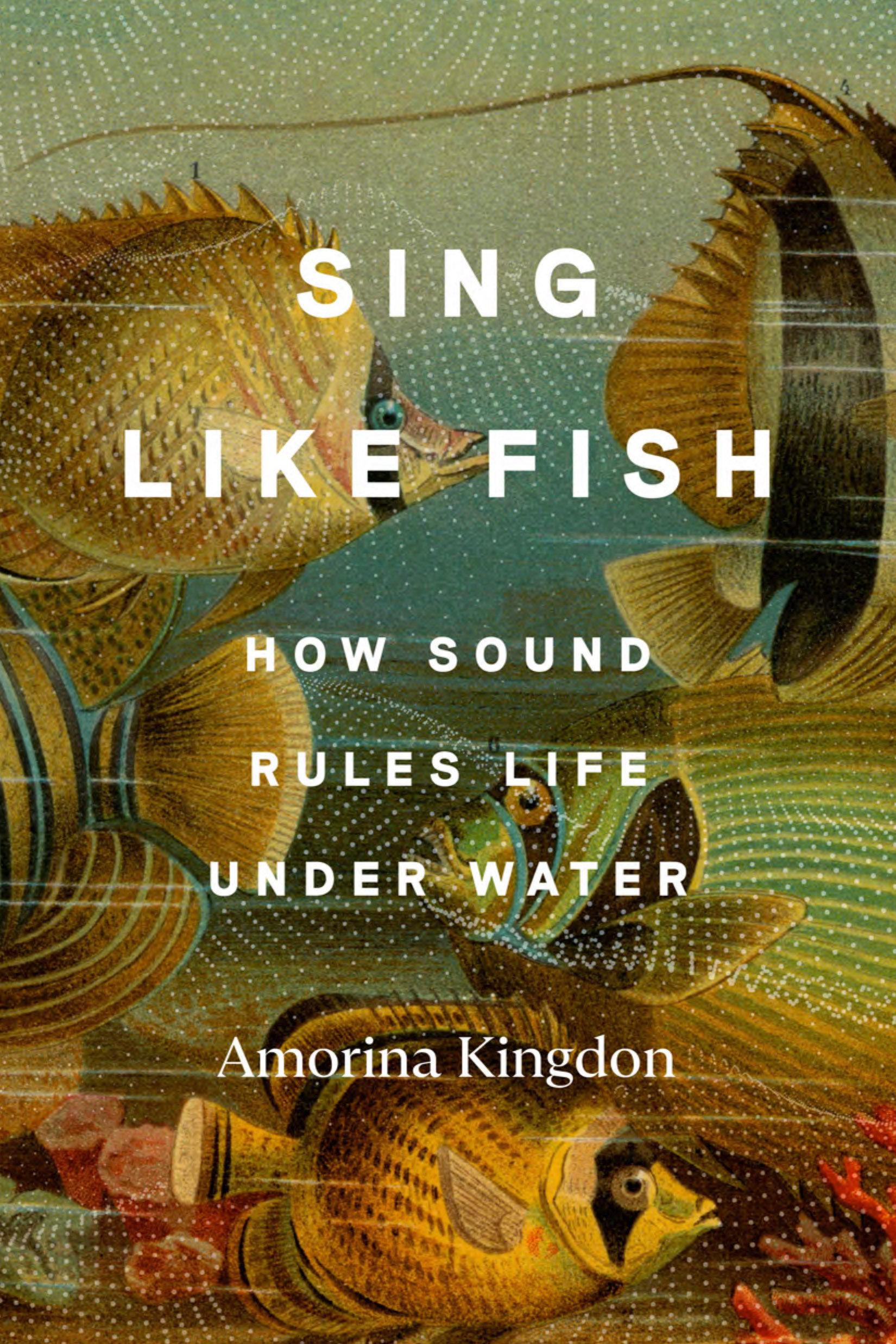 Vorderes Coverbild Sing Like Fish