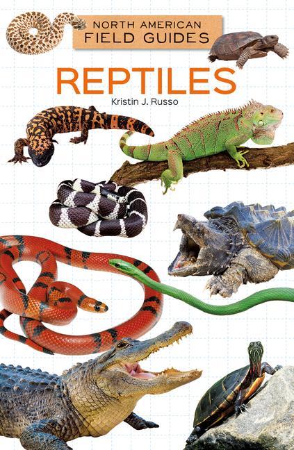 Vorderes Coverbild Reptiles