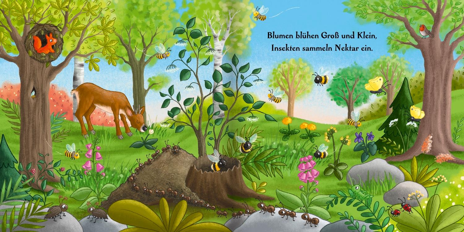 Beispielinhalt (Bild) Es wird Sommer hier im Wald