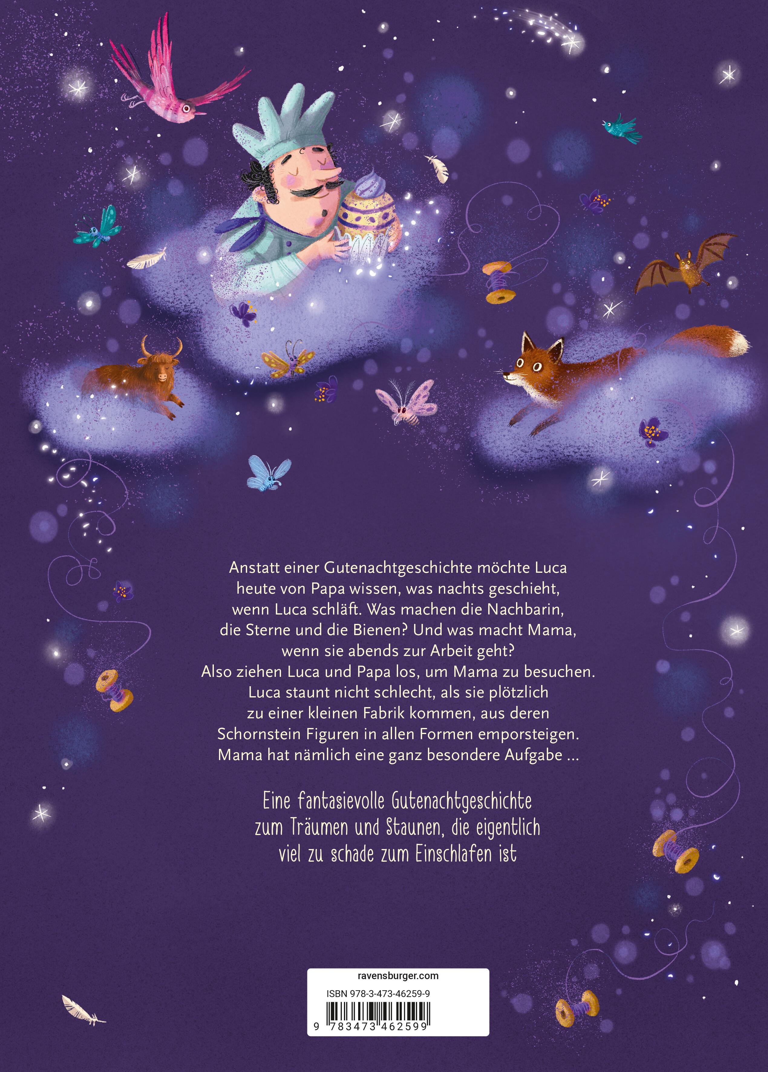 Rückseitencover Die Traumspinnerin