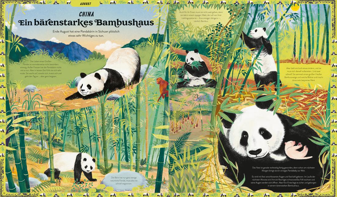 Beispielinhalt (Bild) Durch das Jahr mit der Natur