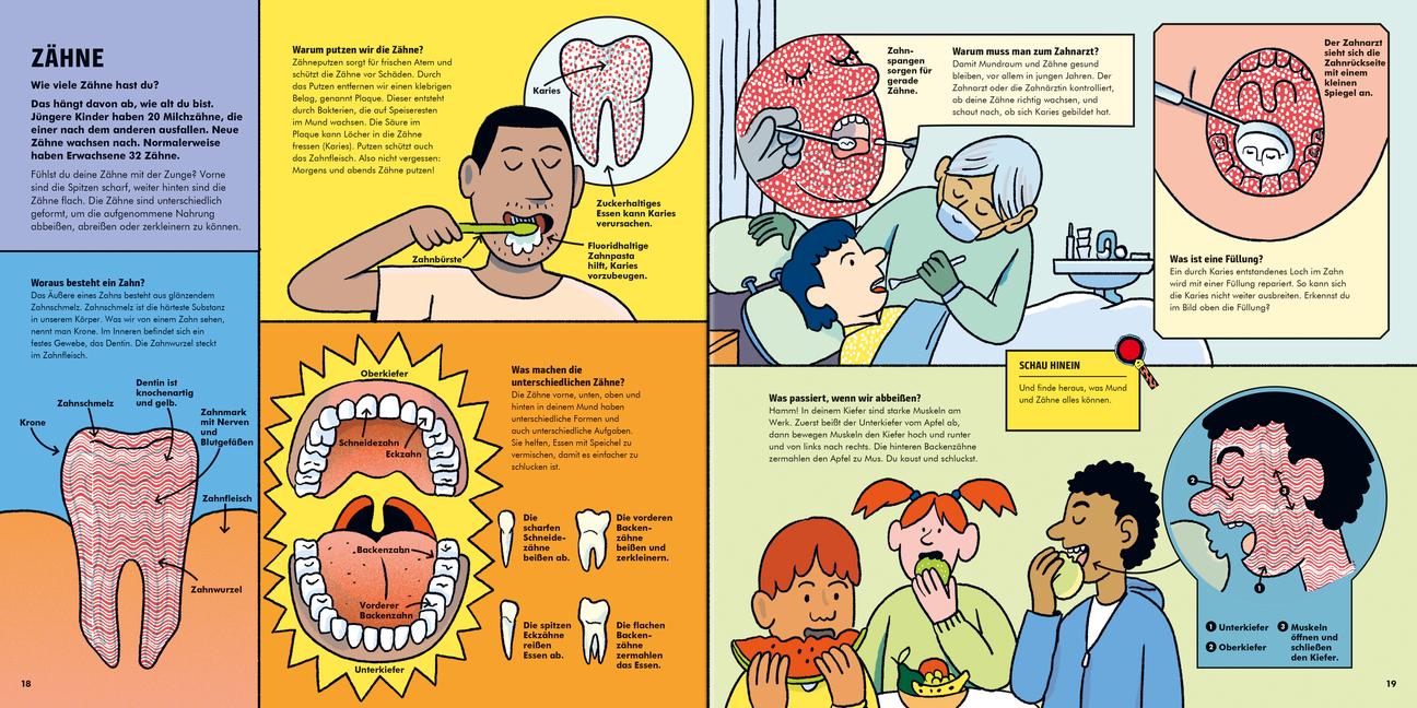 Beispielinhalt (Bild) Faszination Körper