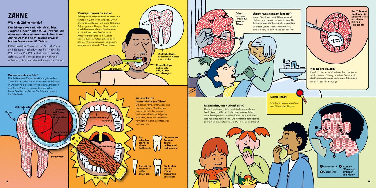 Beispielinhalt (Bild) Faszination Körper
