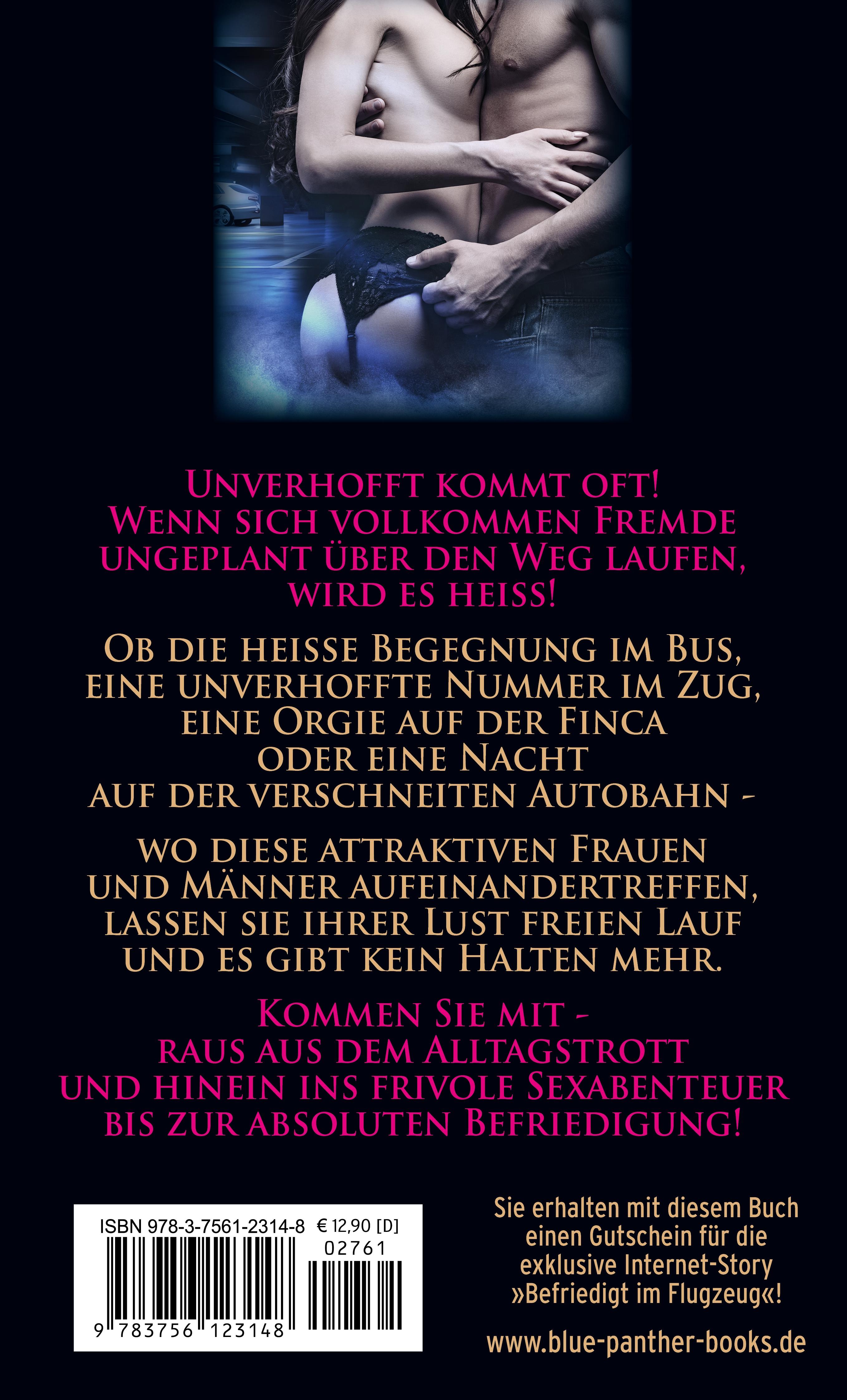 Rückseitencover Schnelle geile Sexbegegnungen | Erotische Geschichten