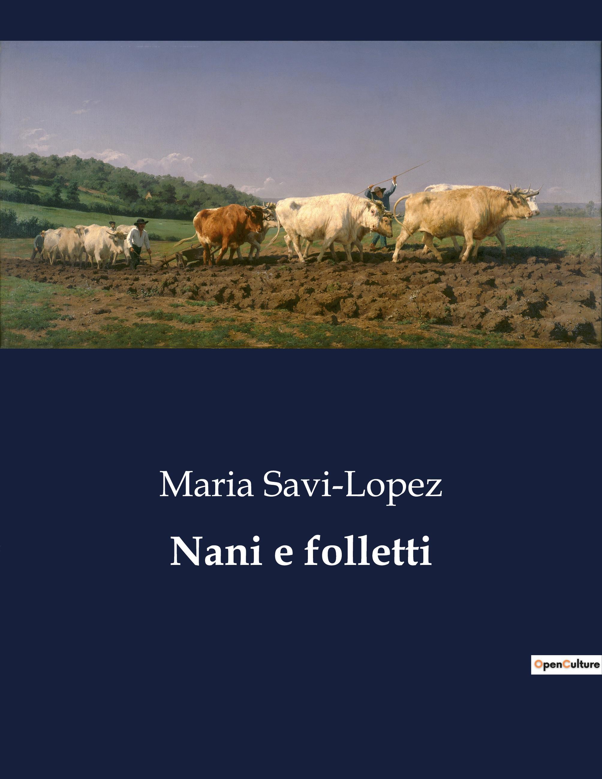 Vorderes Coverbild Nani e folletti