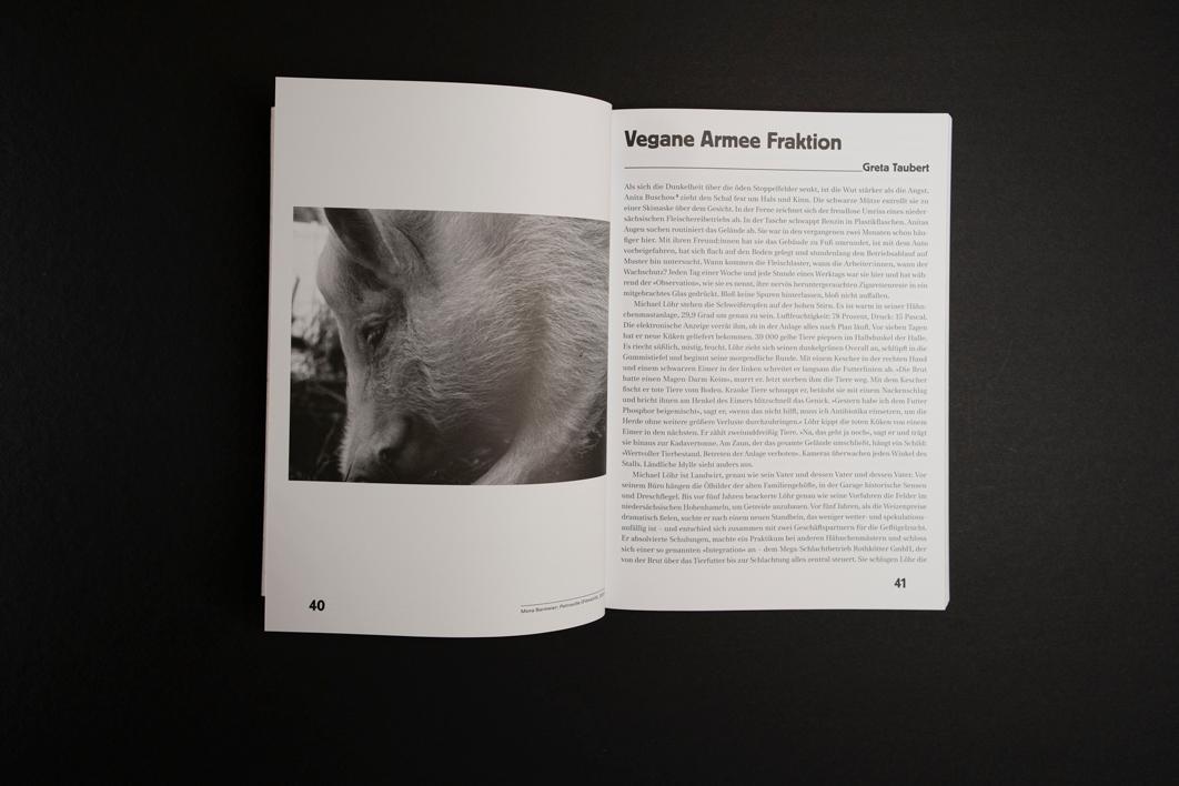 Beispielinhalt (Bild) Protestbereitschaft