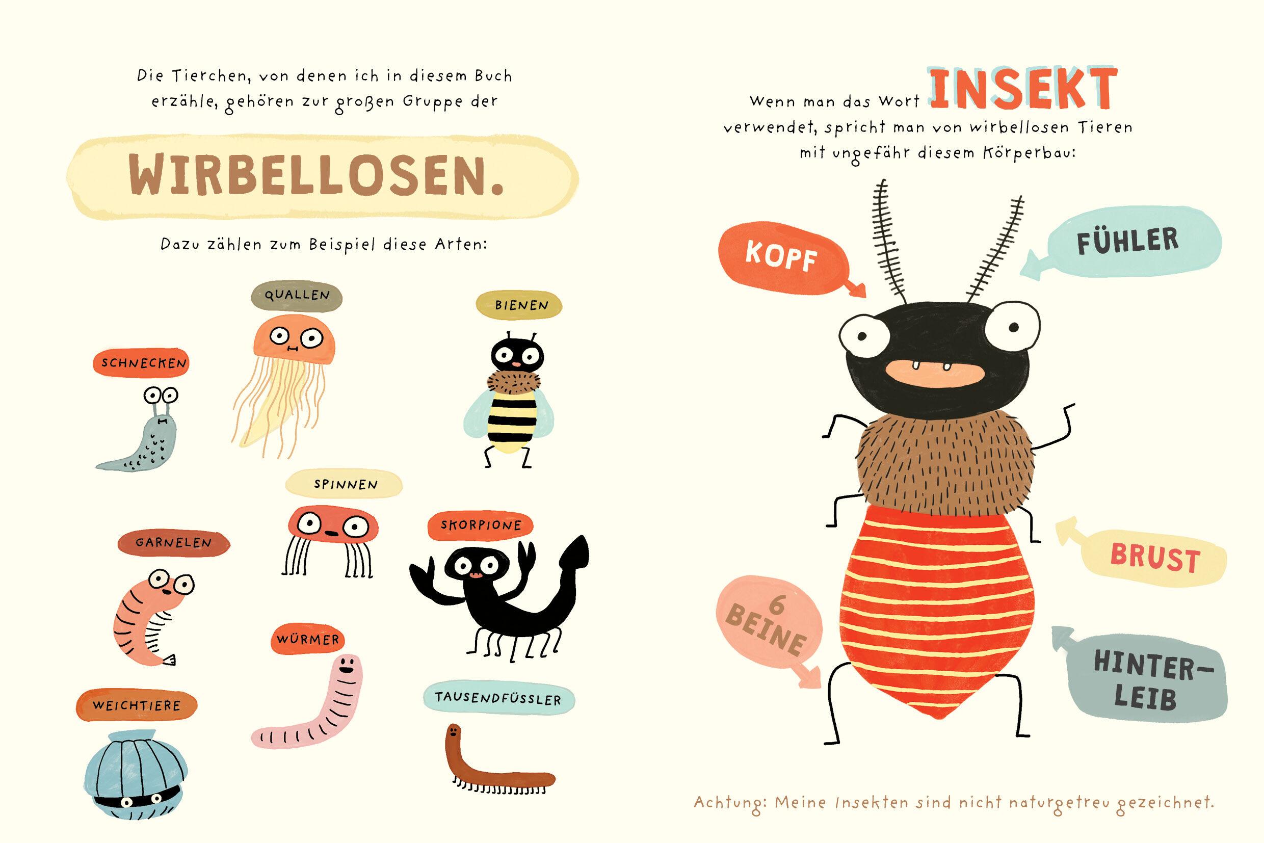 Beispielinhalt (Bild) Käferkolonne