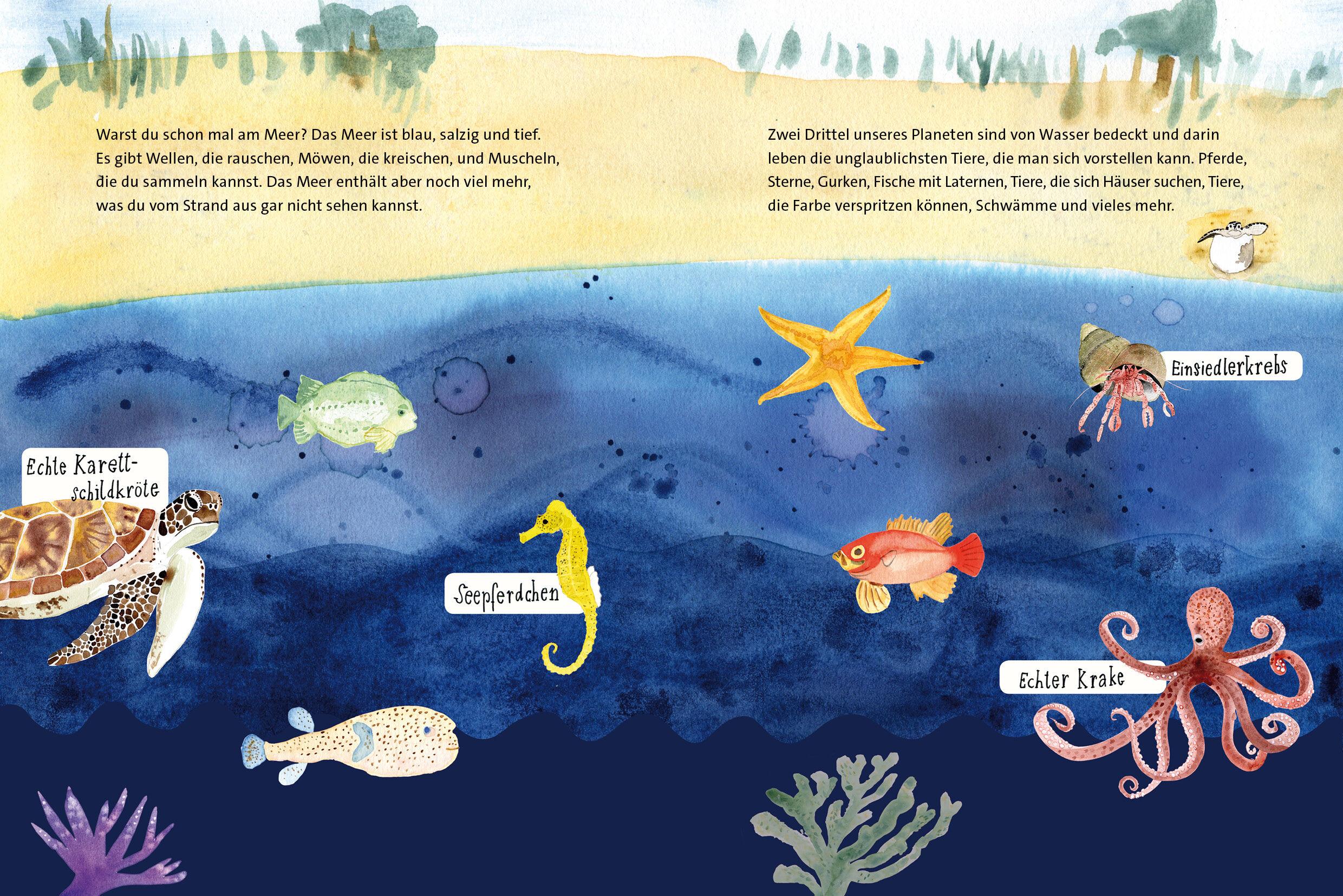 Beispielinhalt (Bild) Die unglaublichen Meereswunder