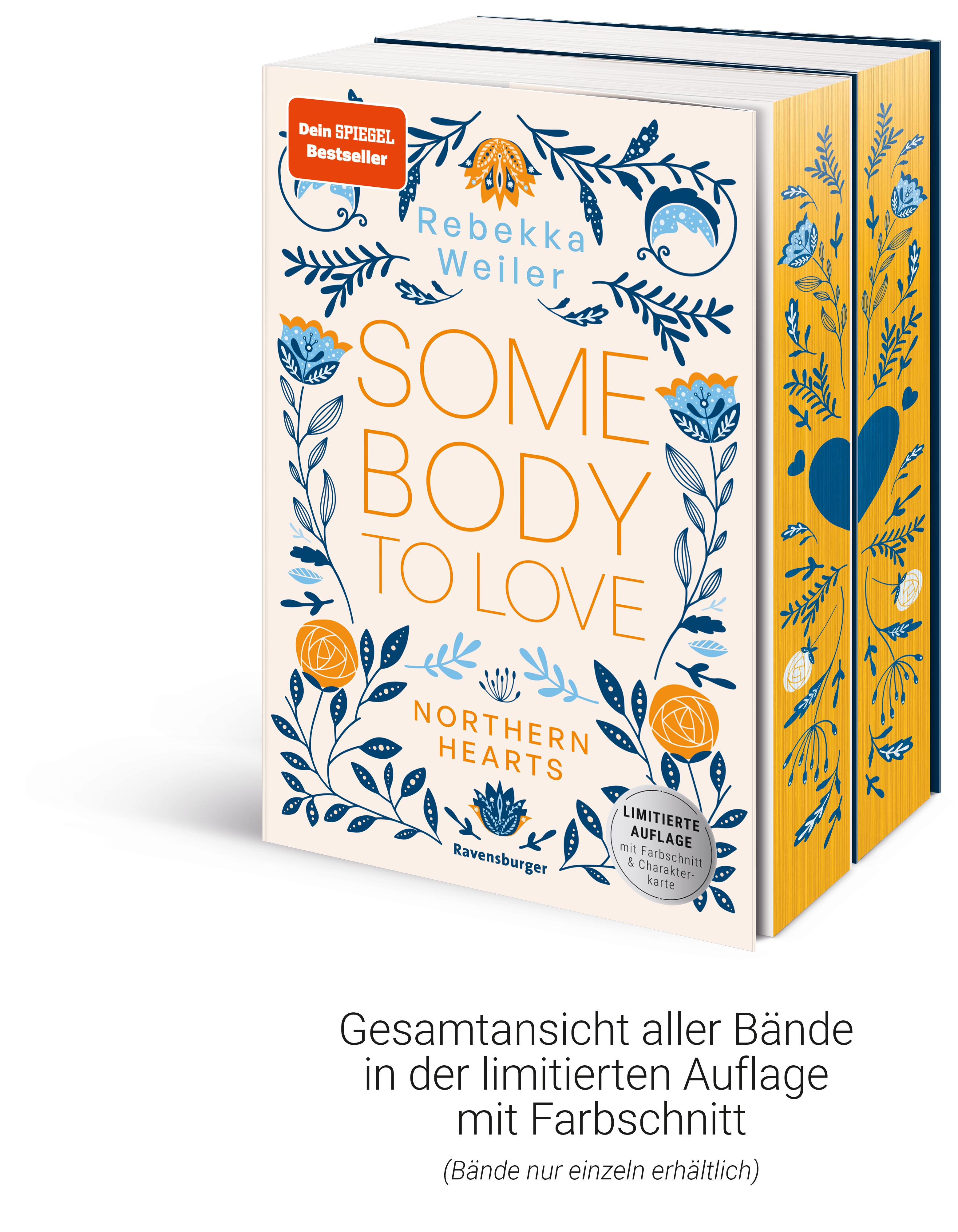 Beispielinhalt (Bild) Northern-Hearts-Reihe, Band 2 - Somebody to Hold.