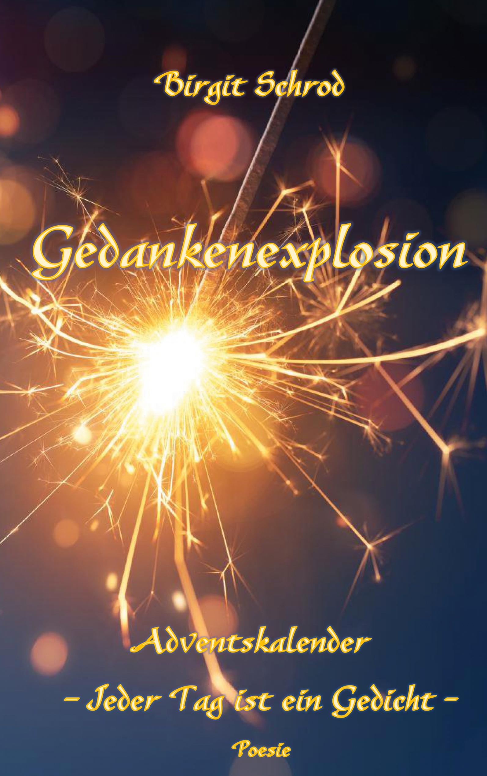 Vorderes Coverbild Gedankenexplosion