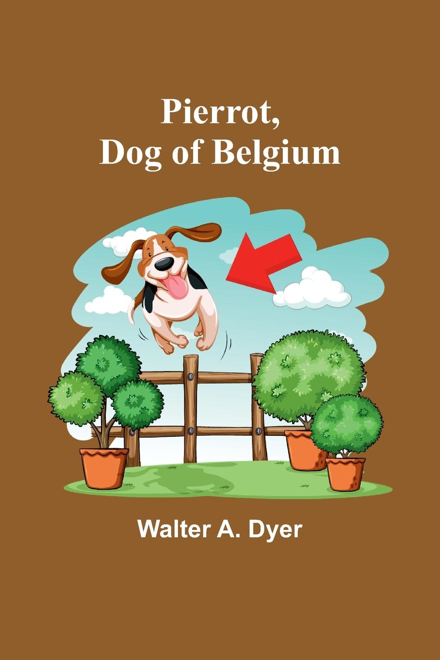 Vorderes Coverbild Pierrot, Dog of Belgium