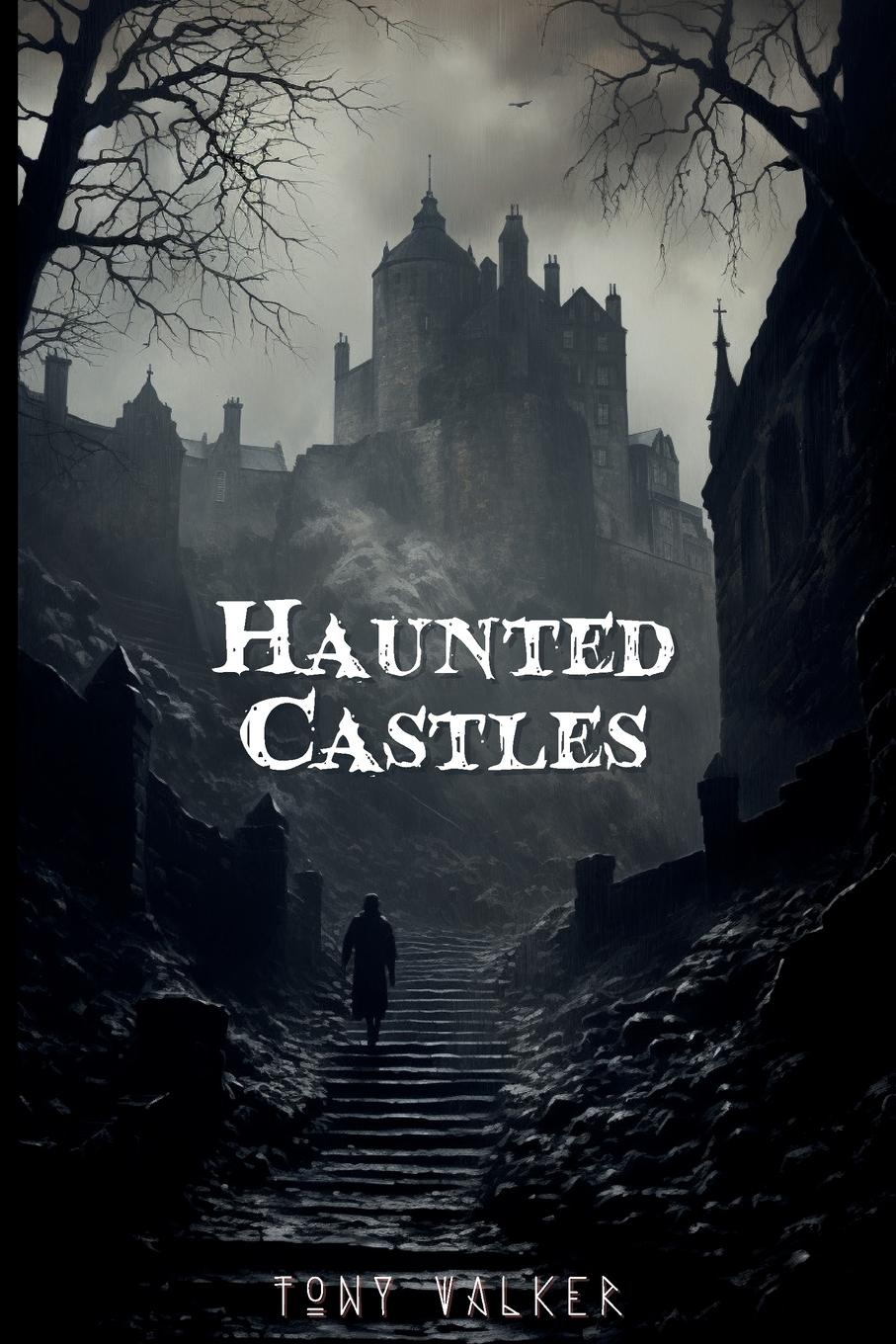 Vorderes Coverbild Haunted Castles