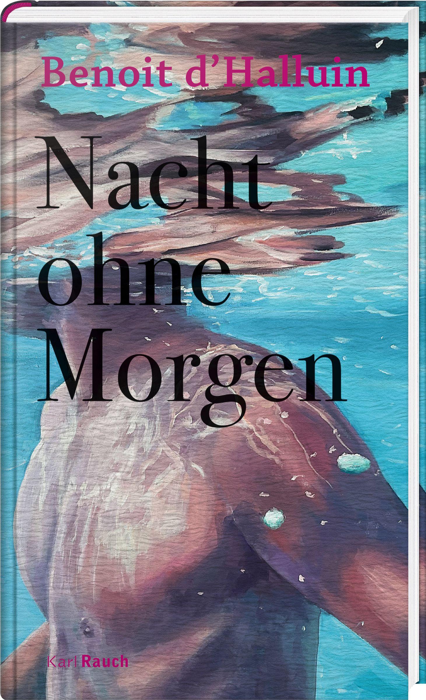 Vorderes Coverbild Nacht ohne Morgen