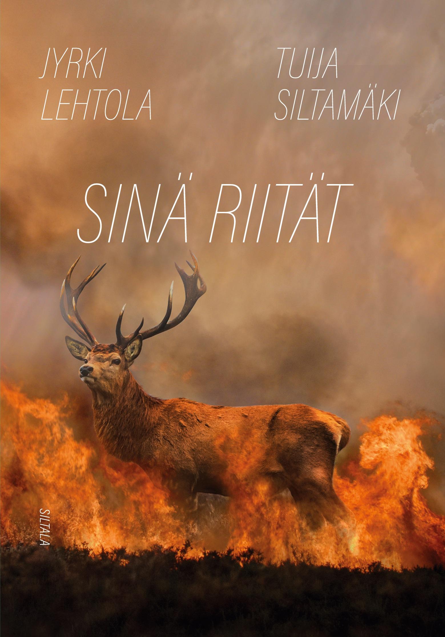 Vorderes Coverbild Sinä riität. Lopunaikojen opas