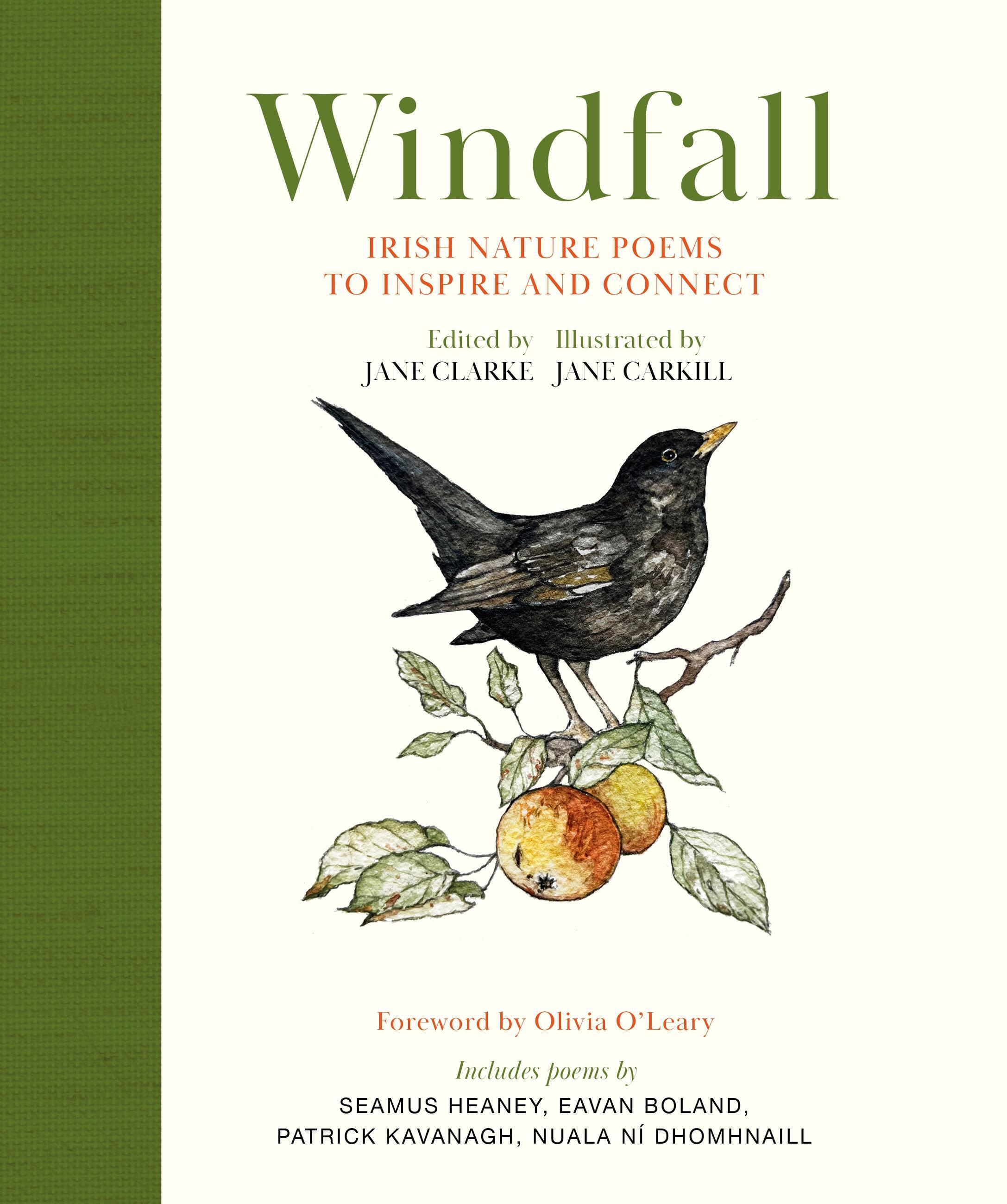 Vorderes Coverbild Windfall