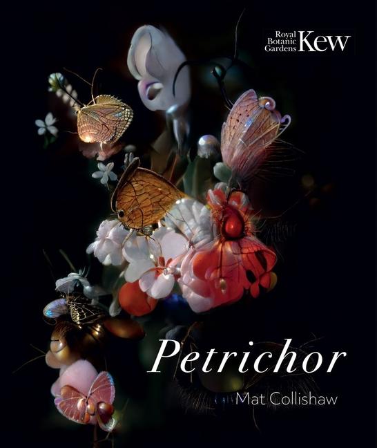 Vorderes Coverbild Petrichor