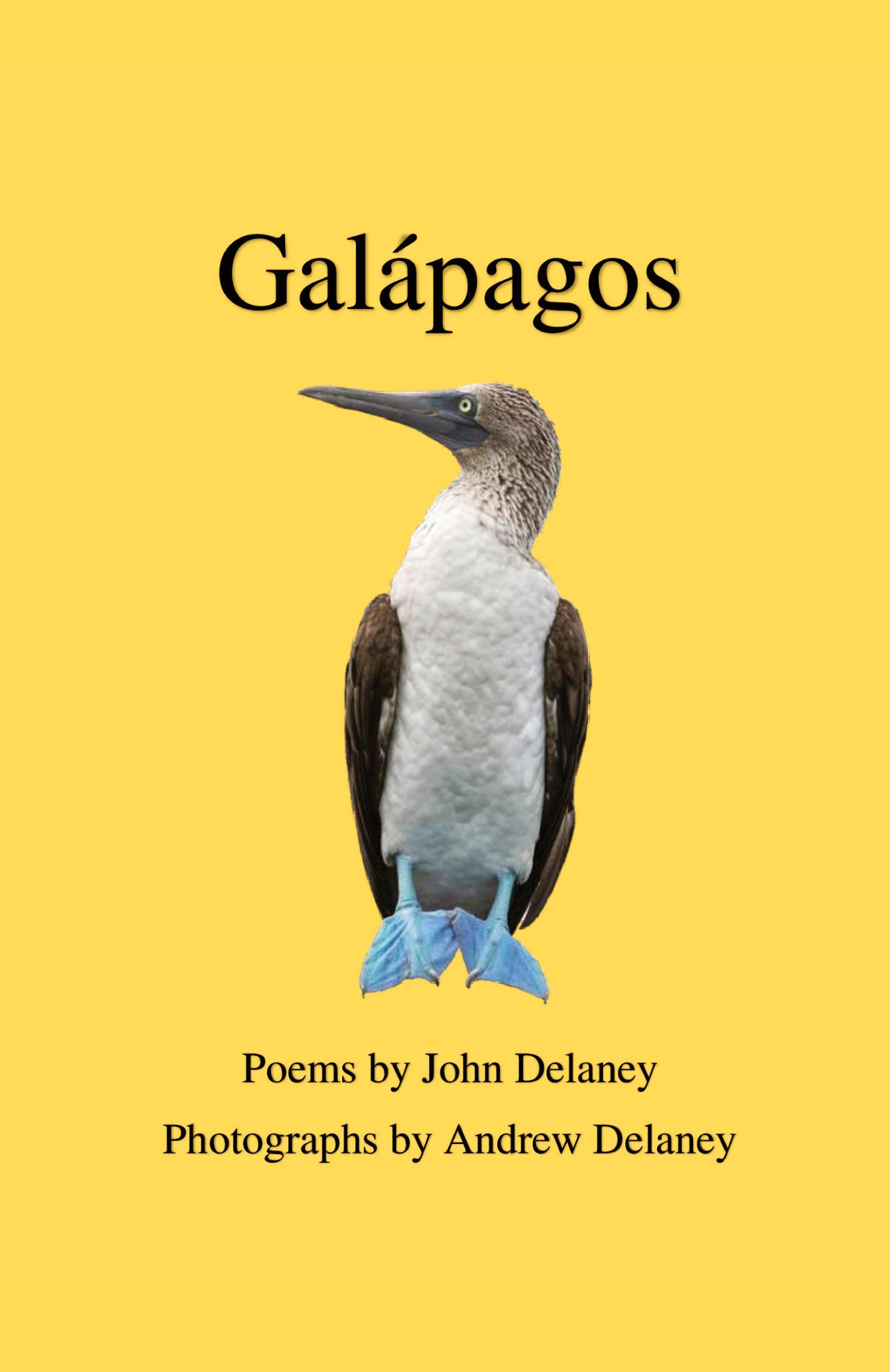 Vorderes Coverbild Galápagos