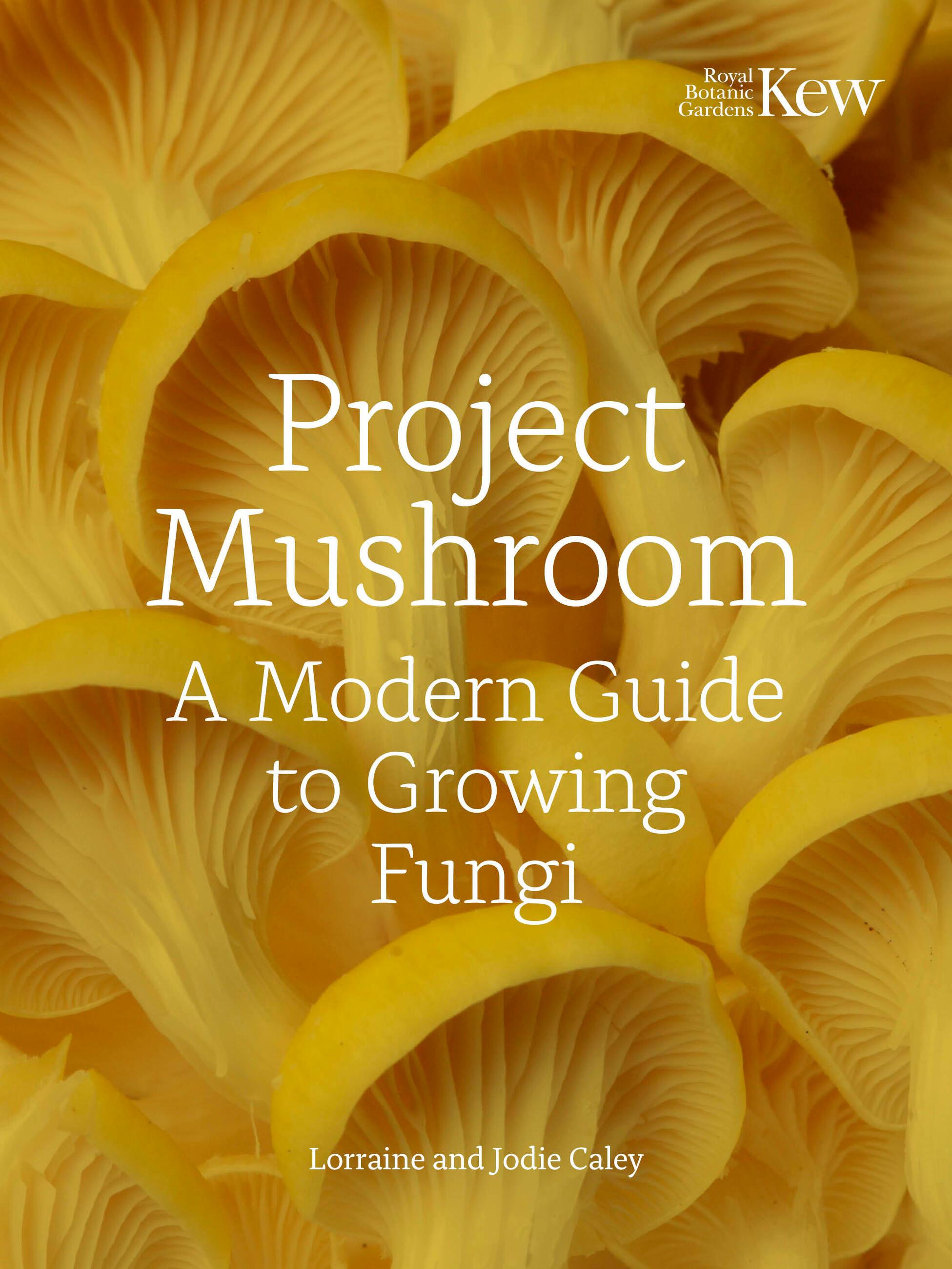 Vorderes Coverbild Project Mushroom