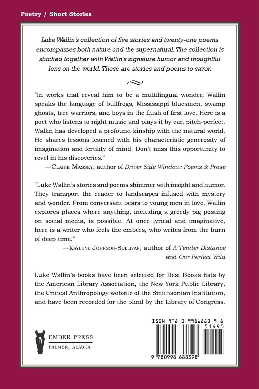 Rückseitencover The Night We Called the Owls