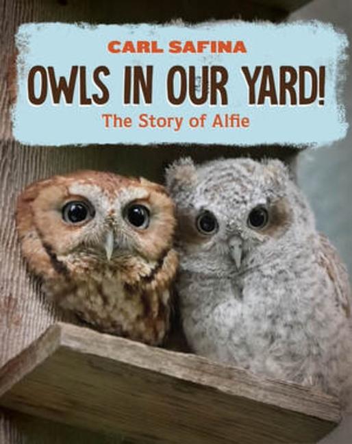 Vorderes Coverbild Owls in Our Yard!