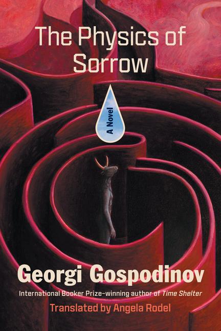 Vorderes Coverbild The Physics of Sorrow