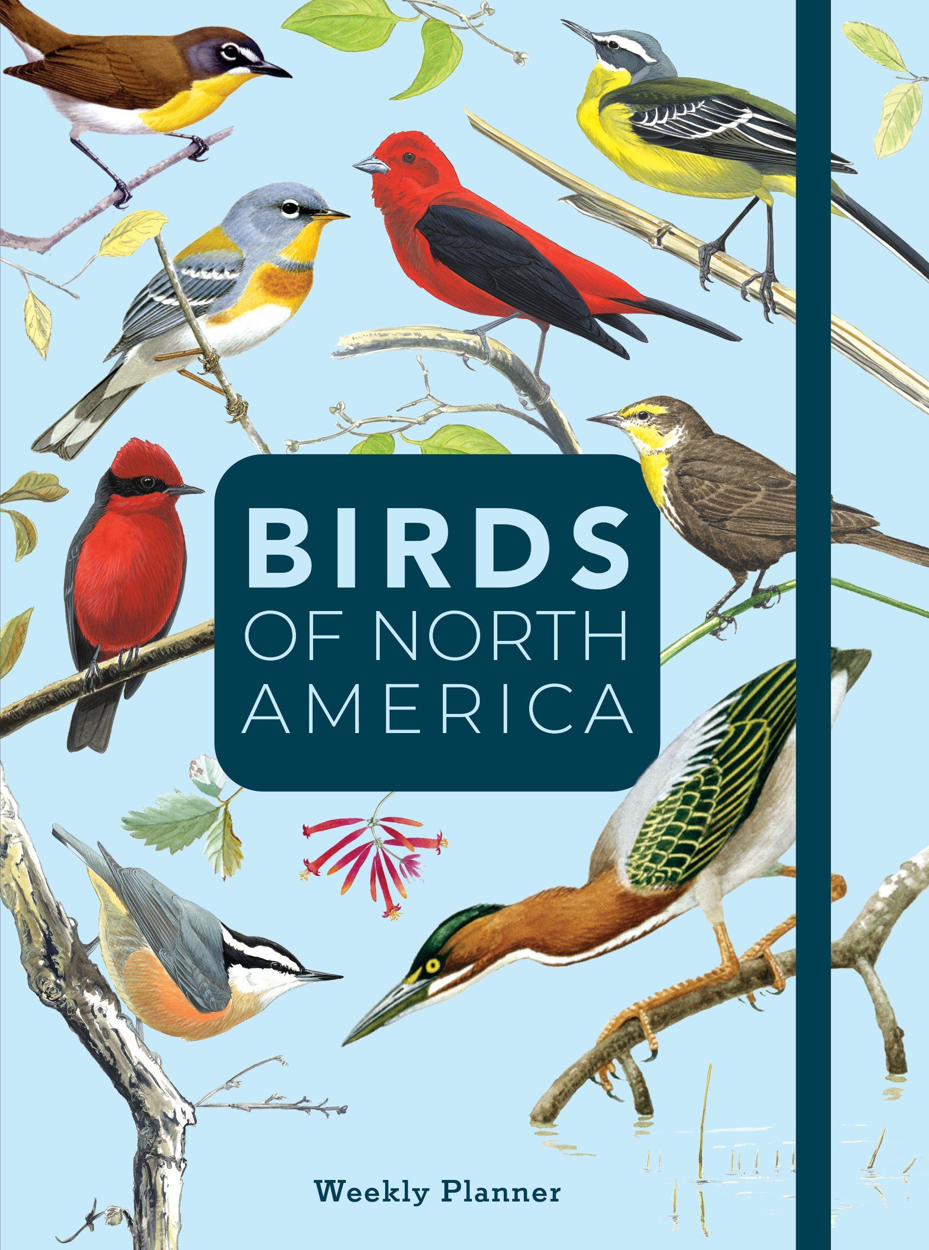 Vorderes Coverbild Birds of North America