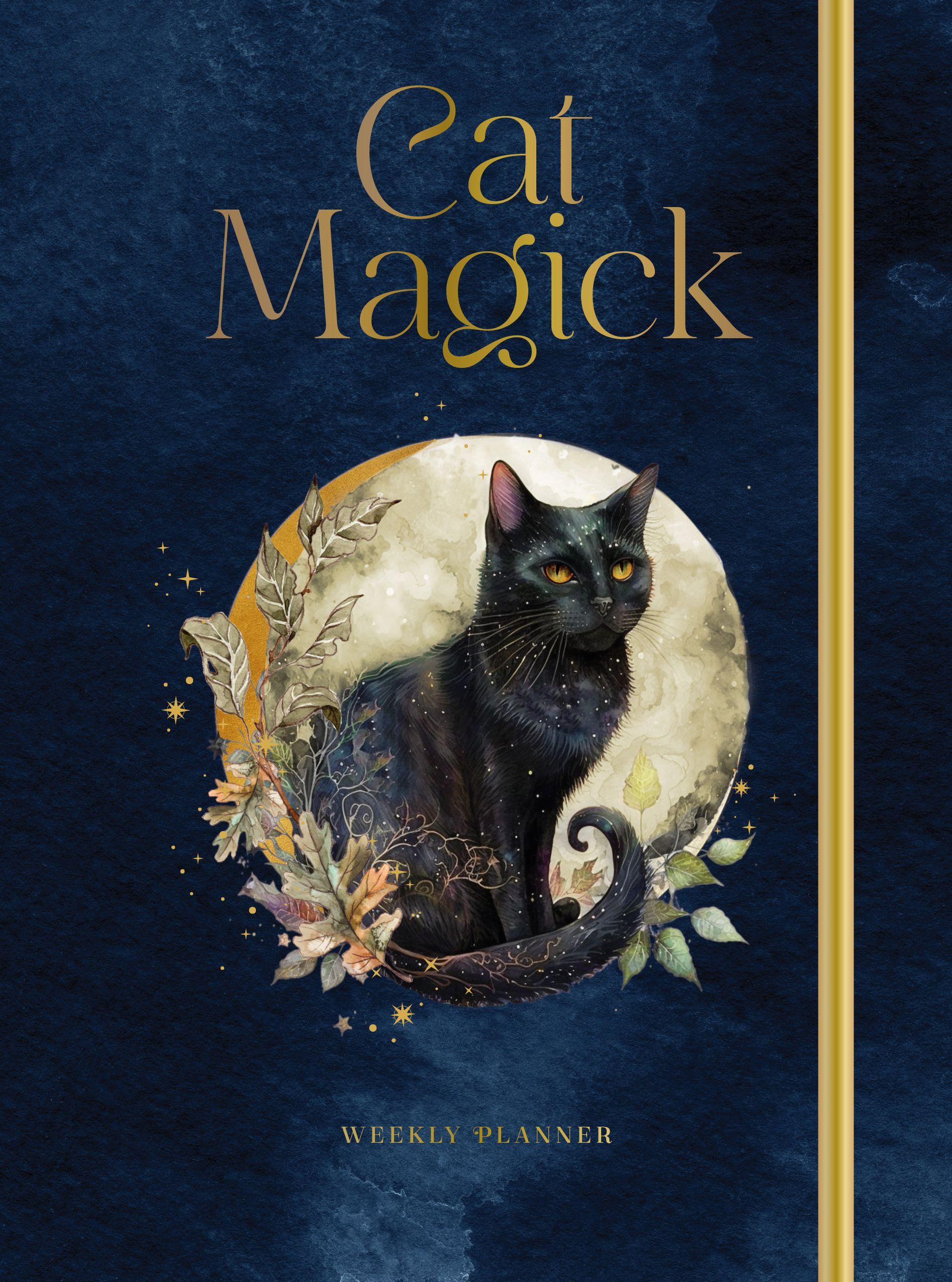 Vorderes Coverbild Cat Magick
