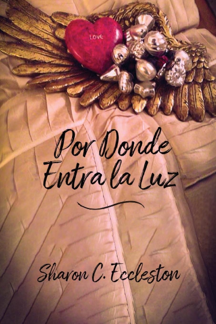 Vorderes Coverbild Por Donde Entra la Luz