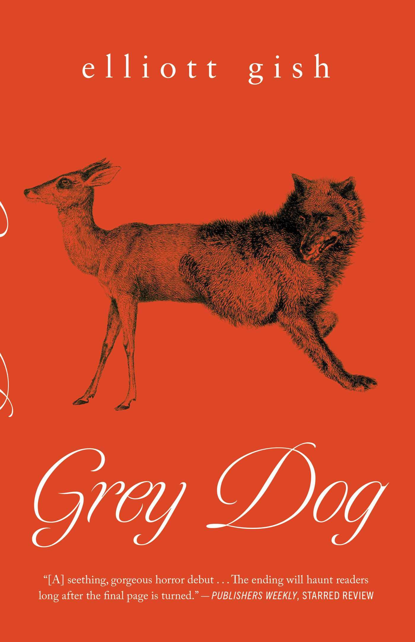 Vorderes Coverbild Grey Dog