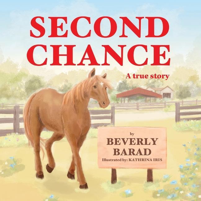 Vorderes Coverbild Second Chance