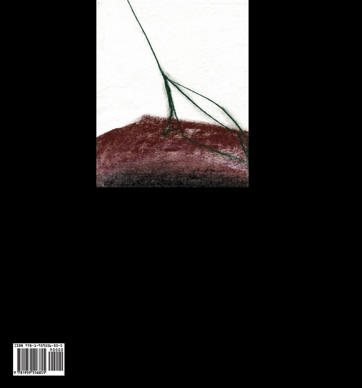 Rückseitencover A Wilderness of Mirrors