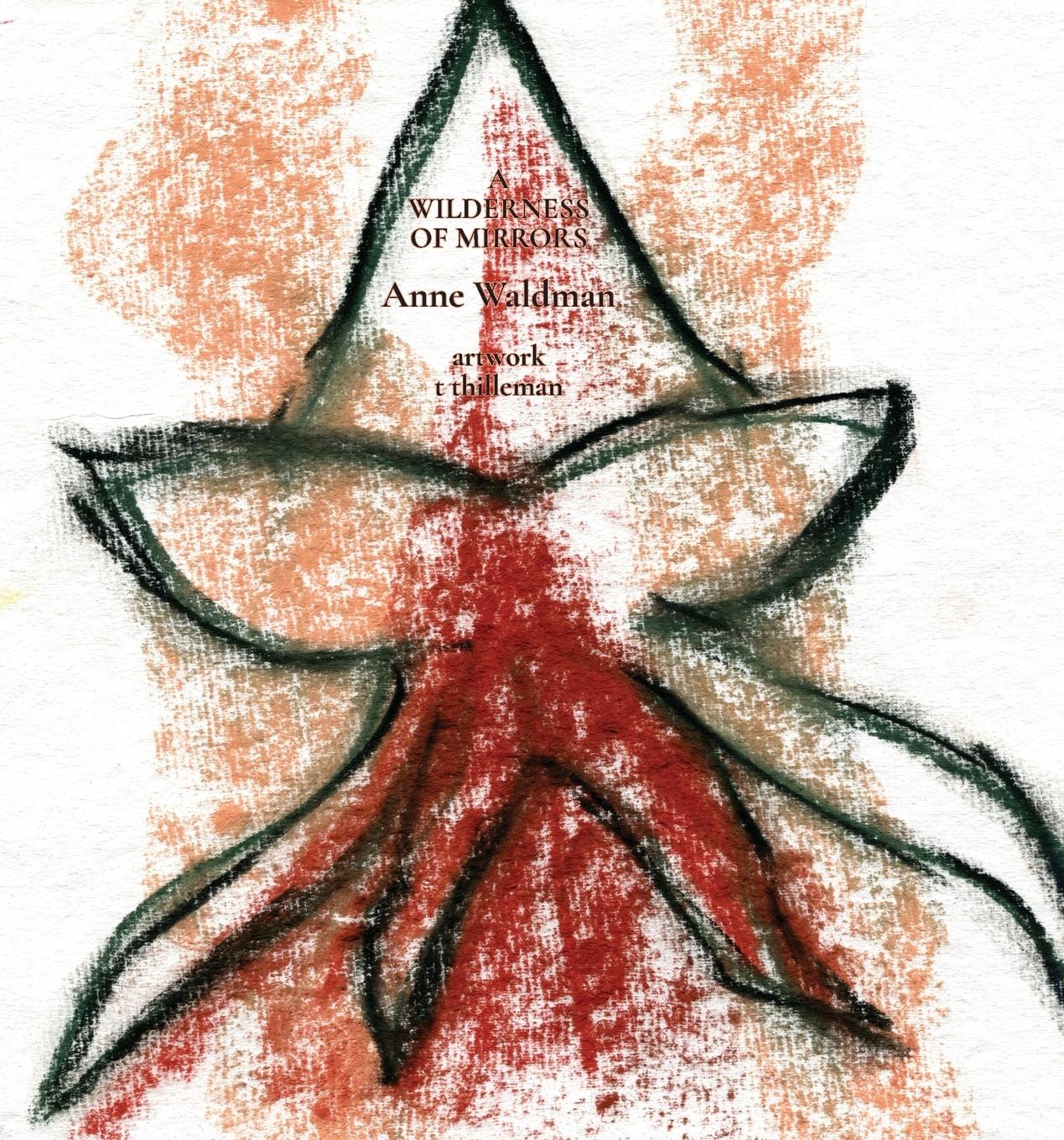 Vorderes Coverbild A Wilderness of Mirrors