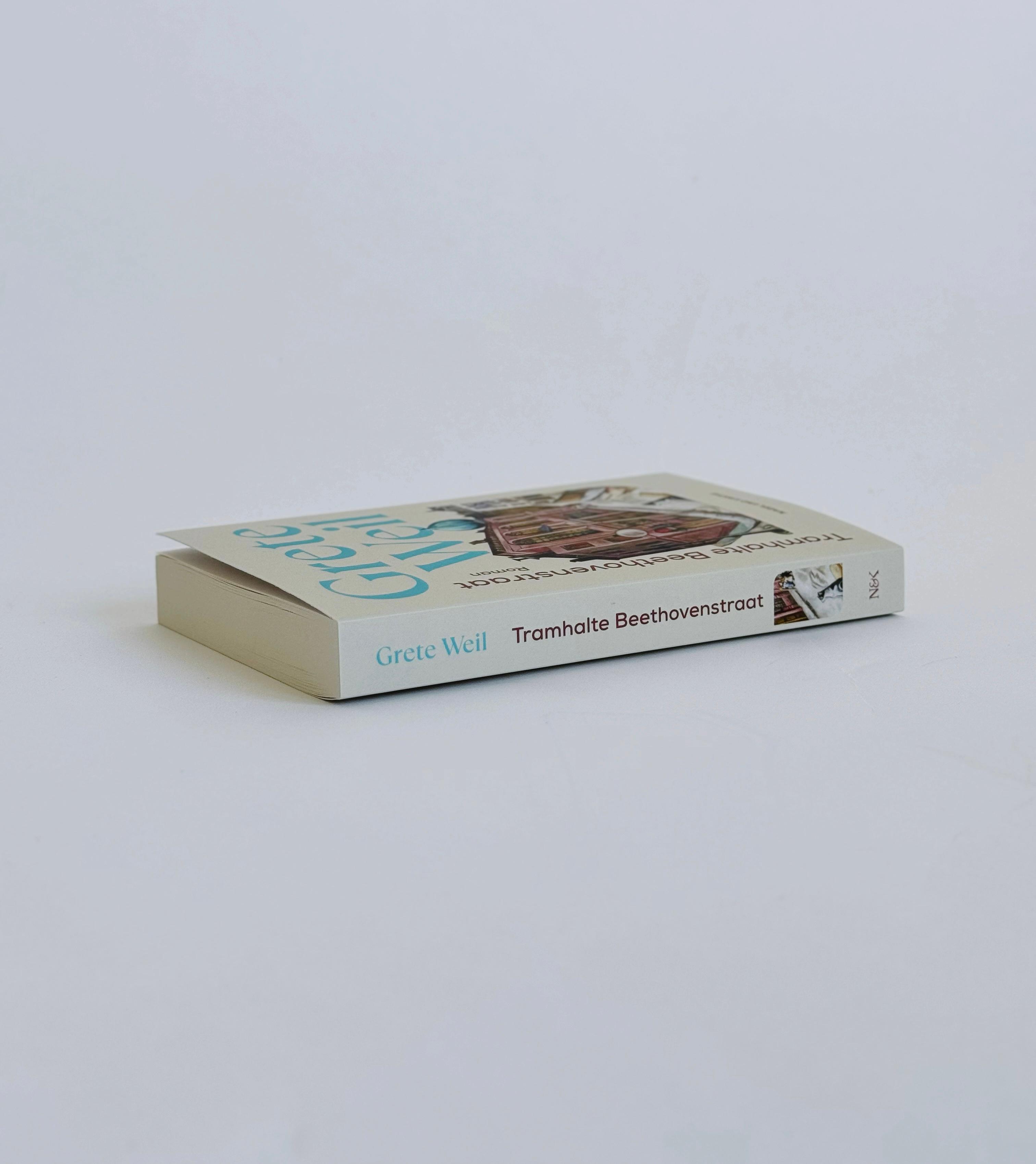 Beispielinhalt (Bild) Tramhalte Beethovenstraat