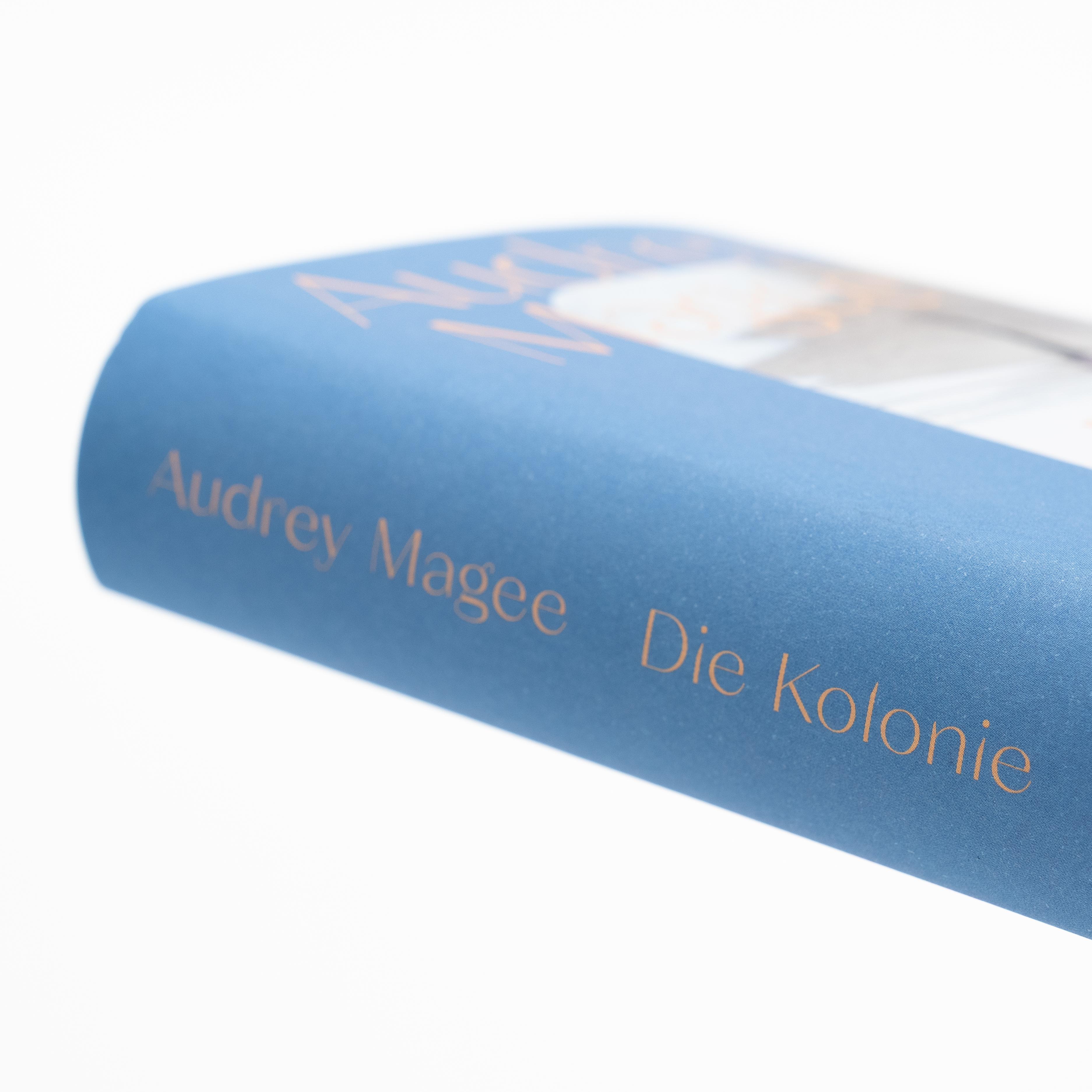 Beispielinhalt (Bild) Die Kolonie