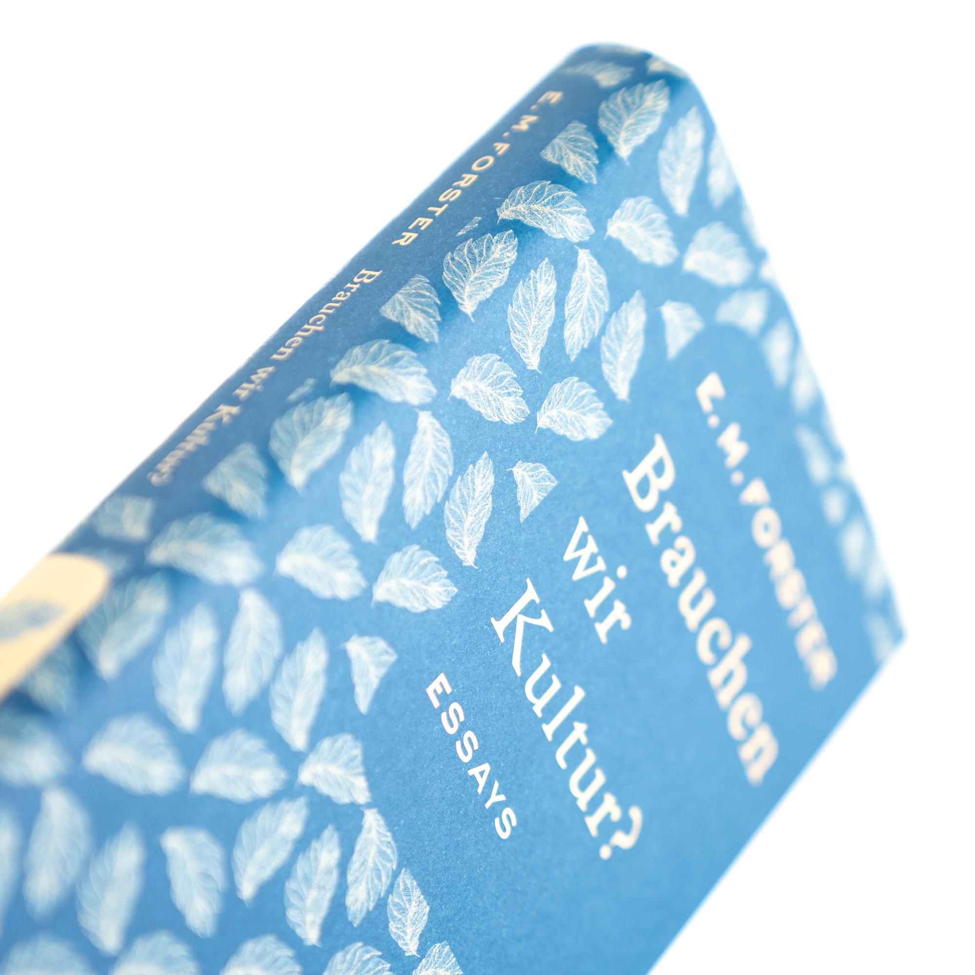 Beispielinhalt (Bild) Brauchen wir Kultur?