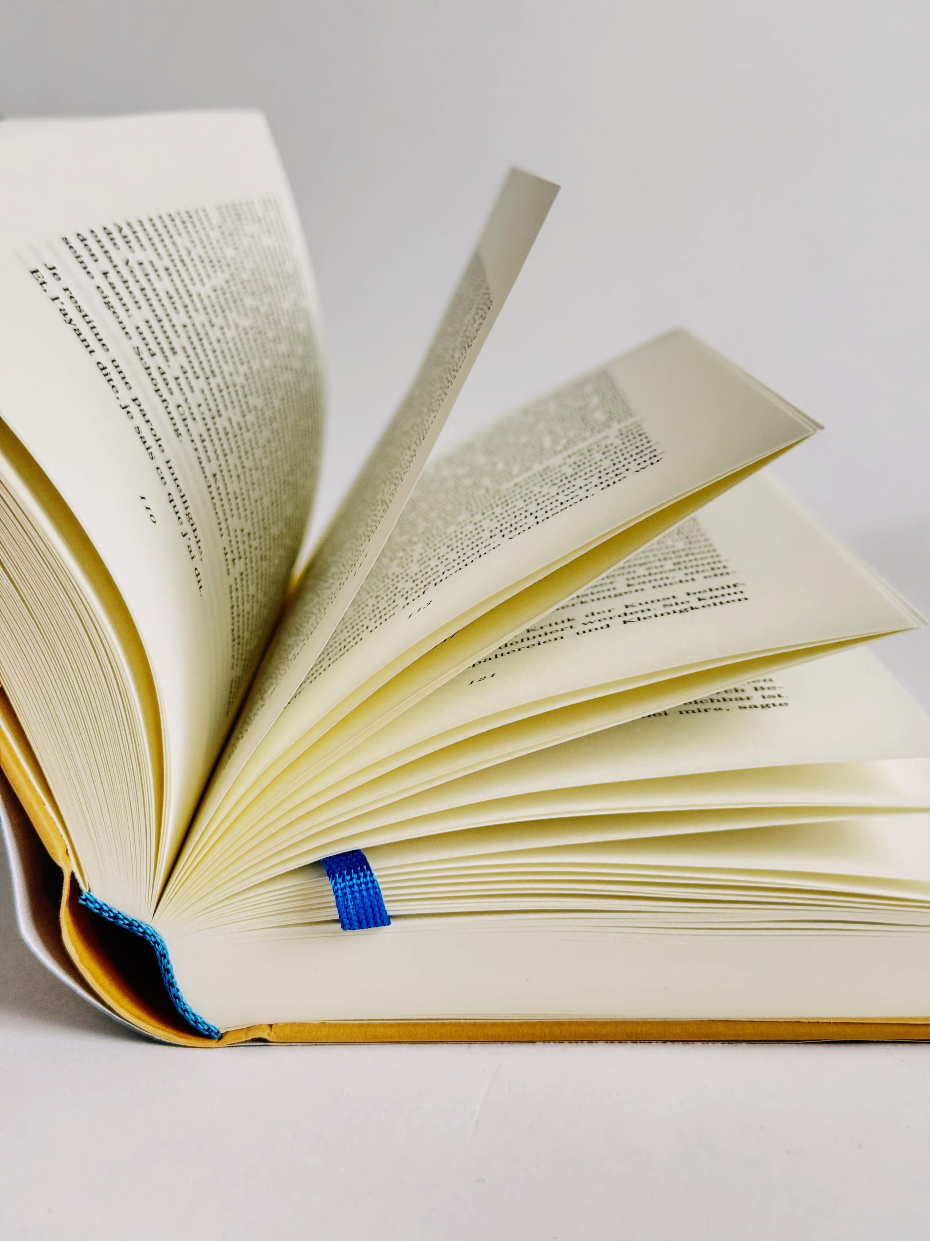 Beispielinhalt (Bild) Brauchen wir Kultur?