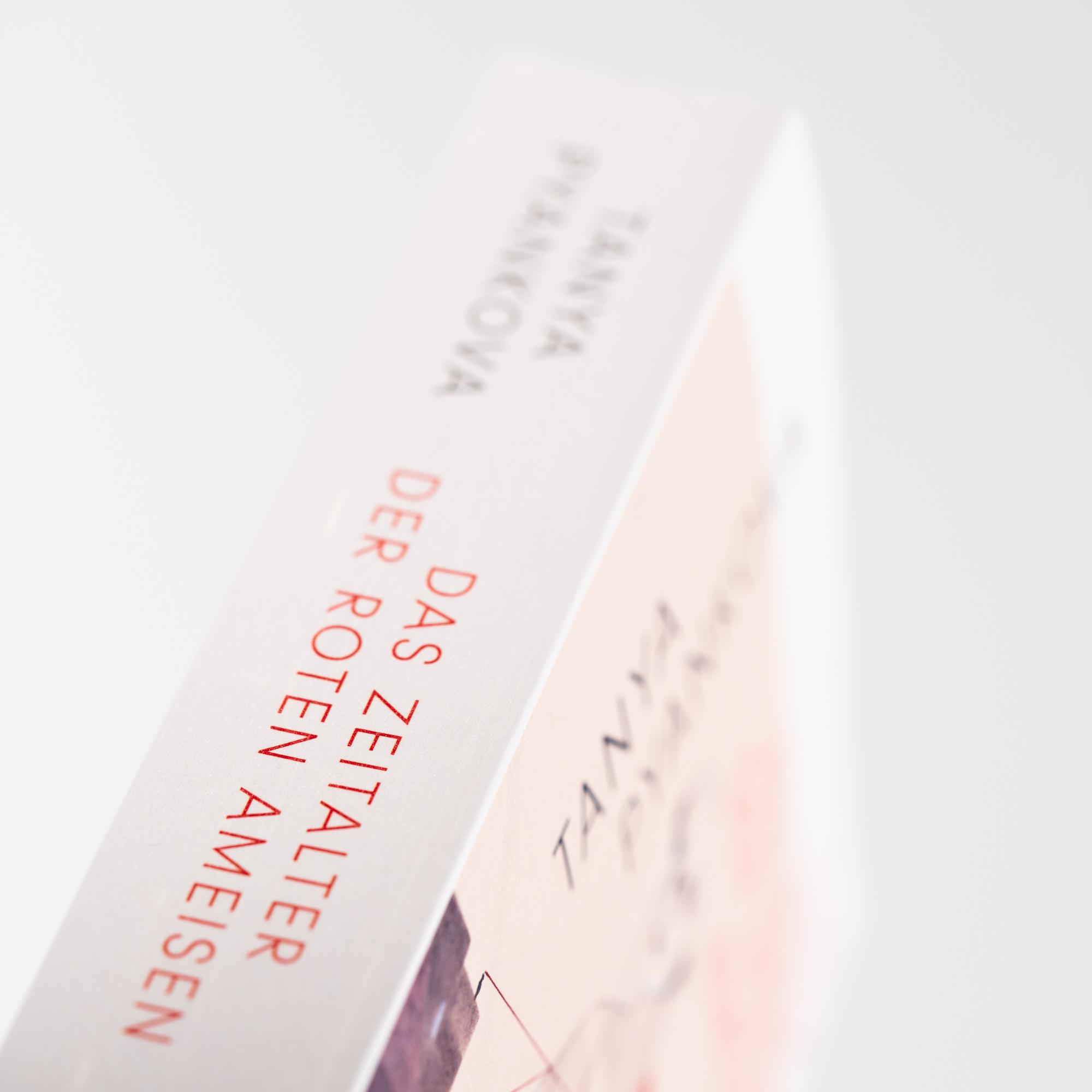 Beispielinhalt (Bild) Das Zeitalter der Roten Ameisen