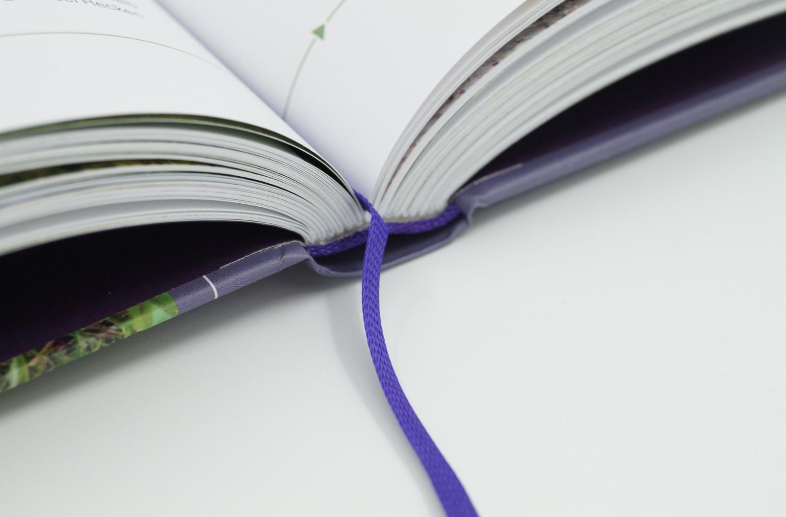 Beispielinhalt (Bild) Streifzug durch den Garten