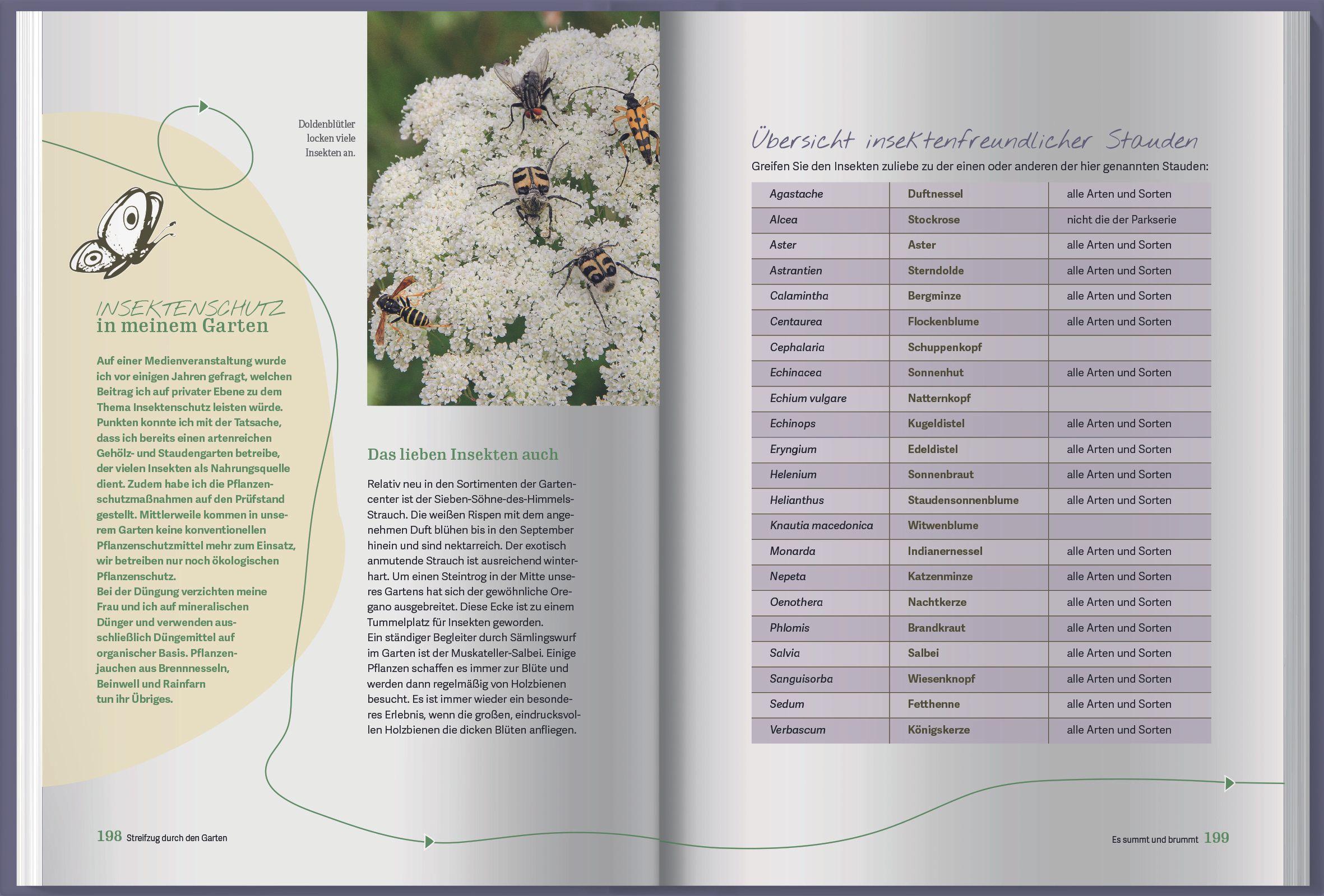 Beispielinhalt (Bild) Streifzug durch den Garten